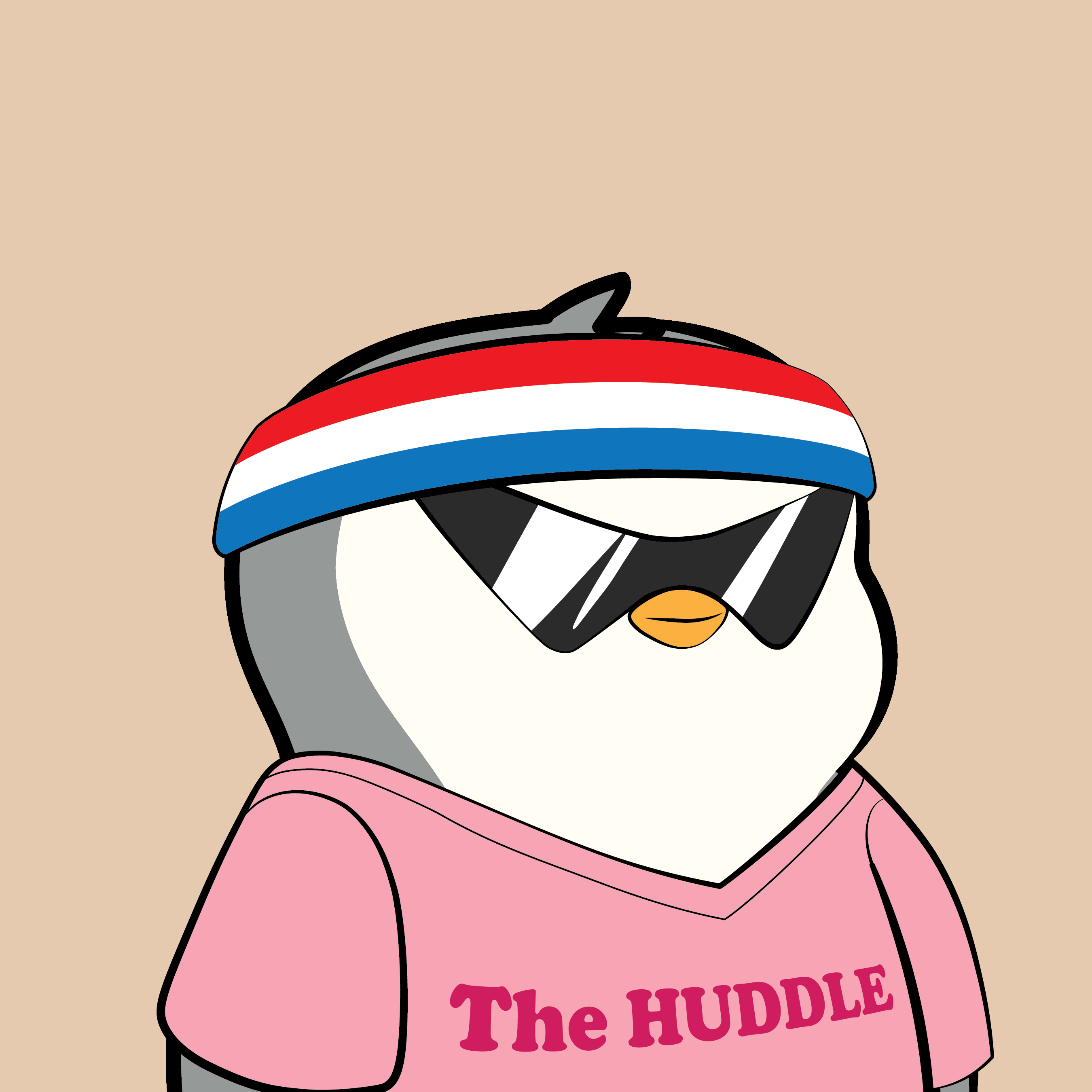 Pudgy #3286