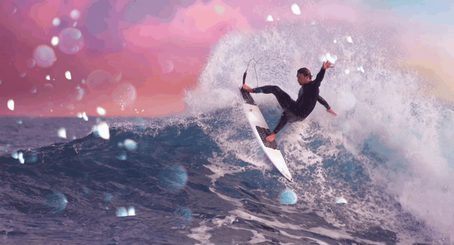 Surfing Paradise