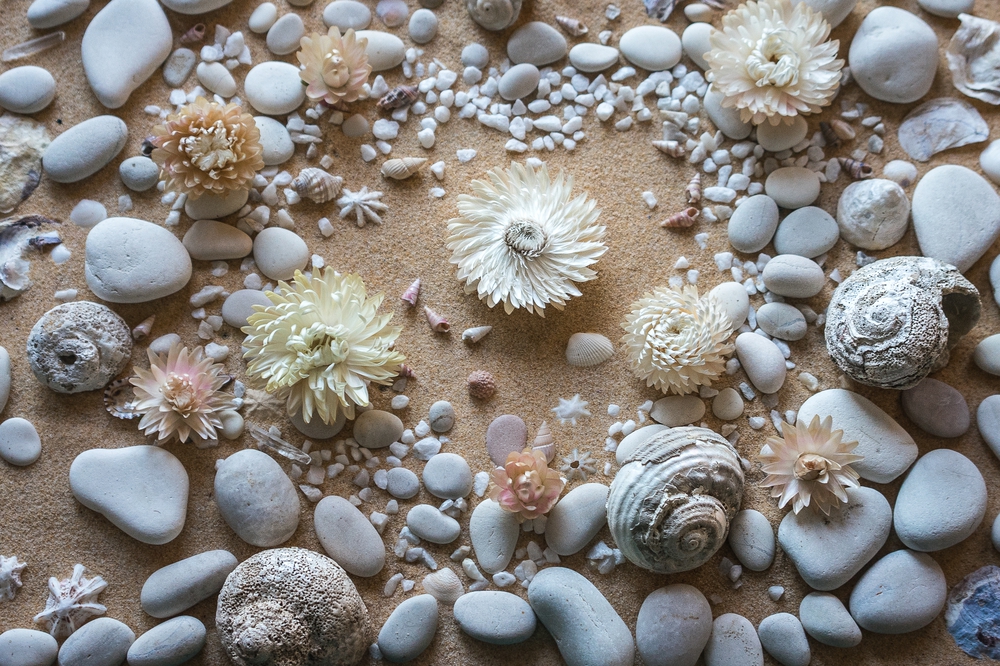 Rockpool in the Sand.