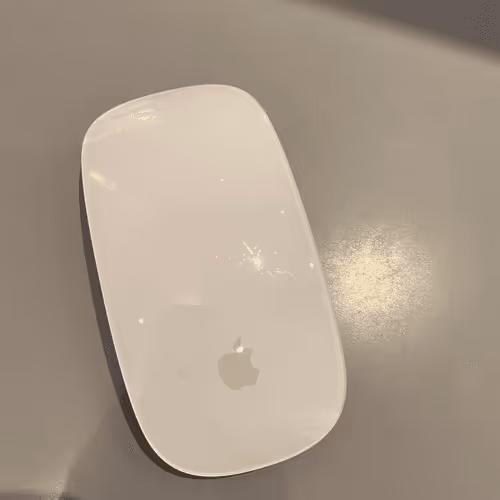 mouse