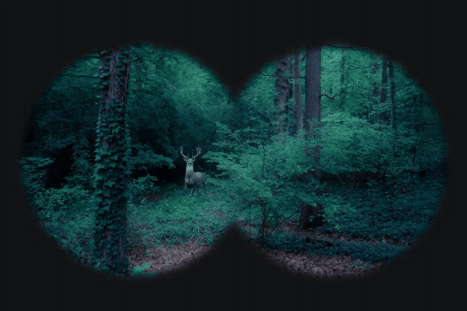 Be Silent, Become Invisible