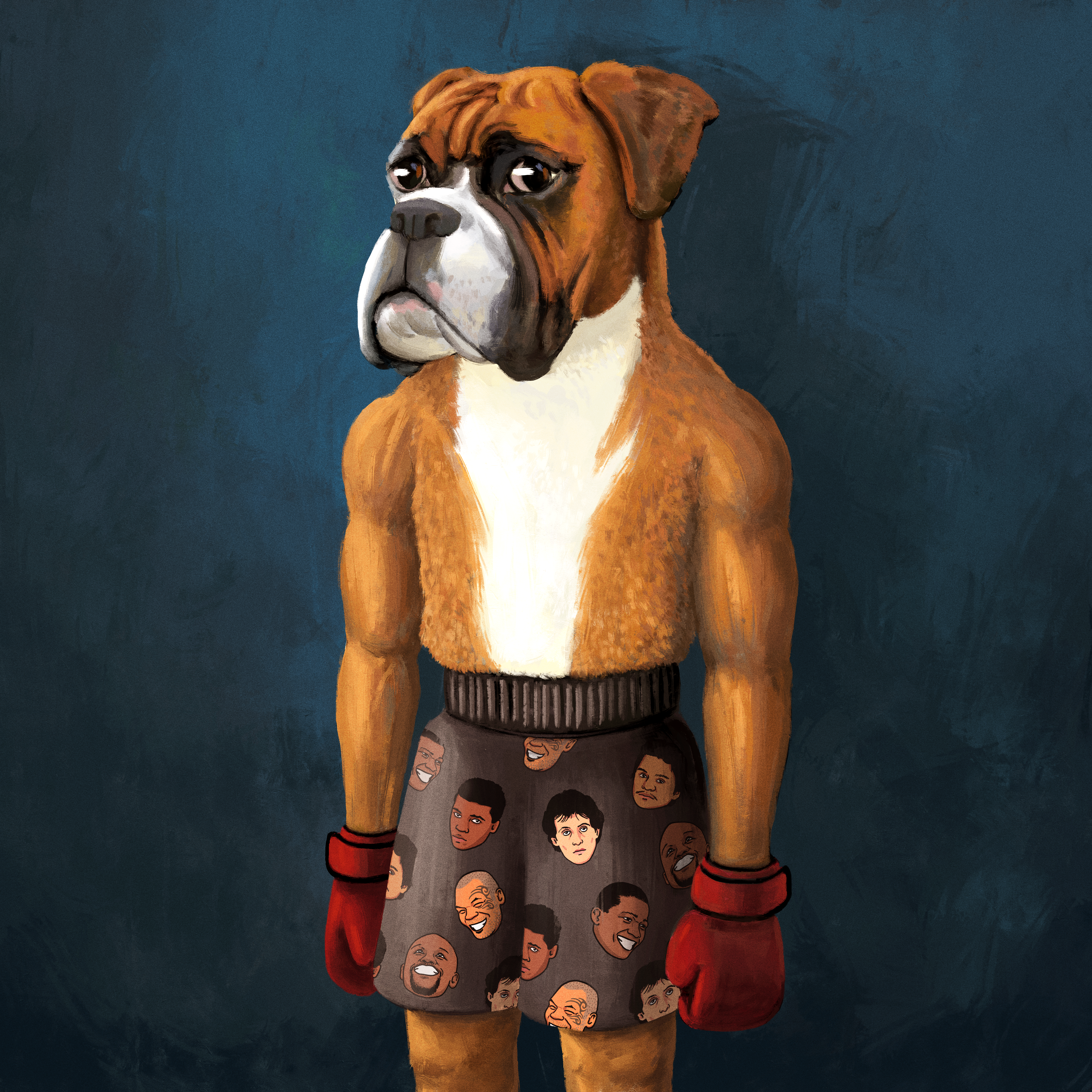 BOXERS