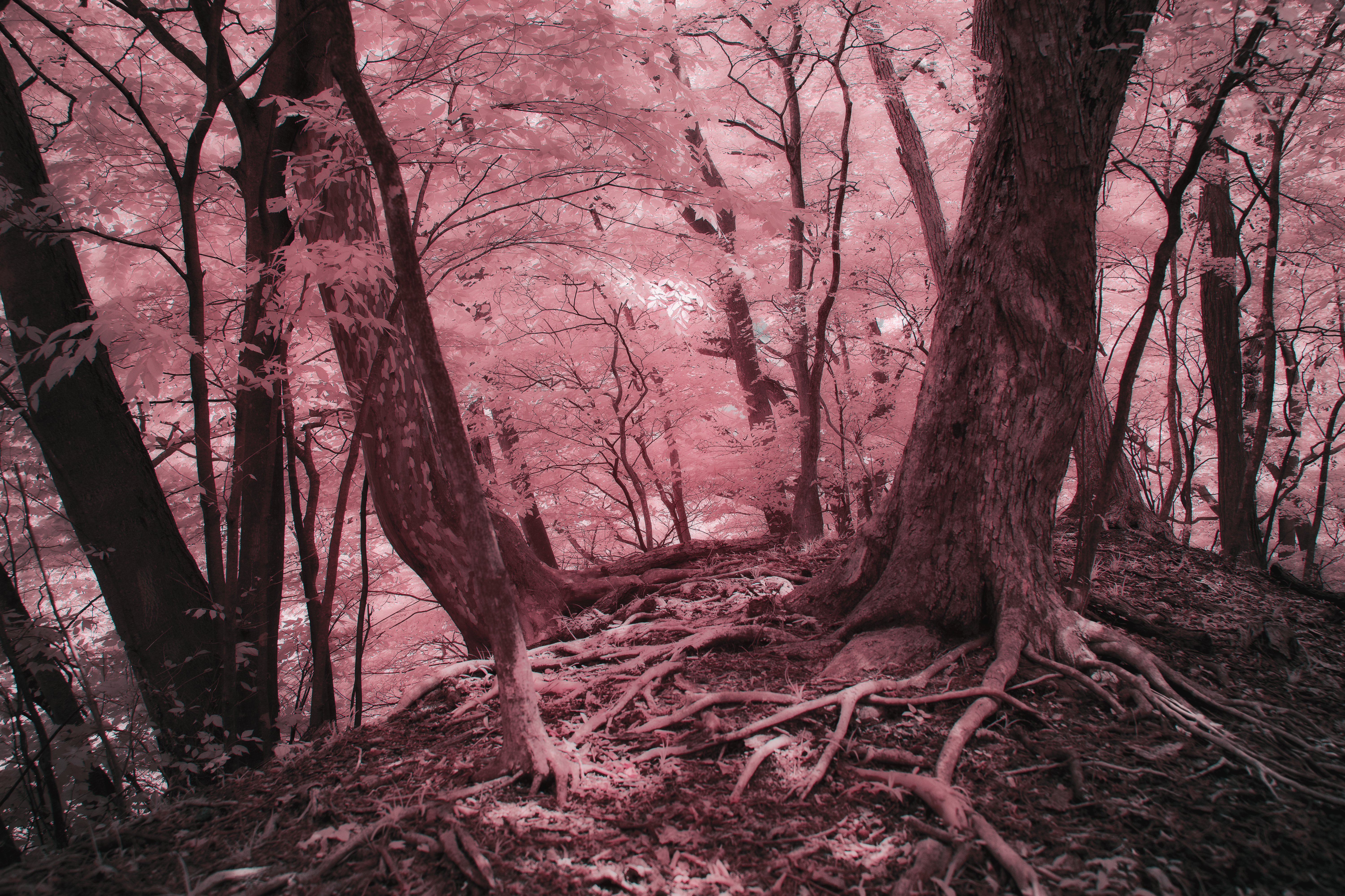 Fragments of Unreality #15