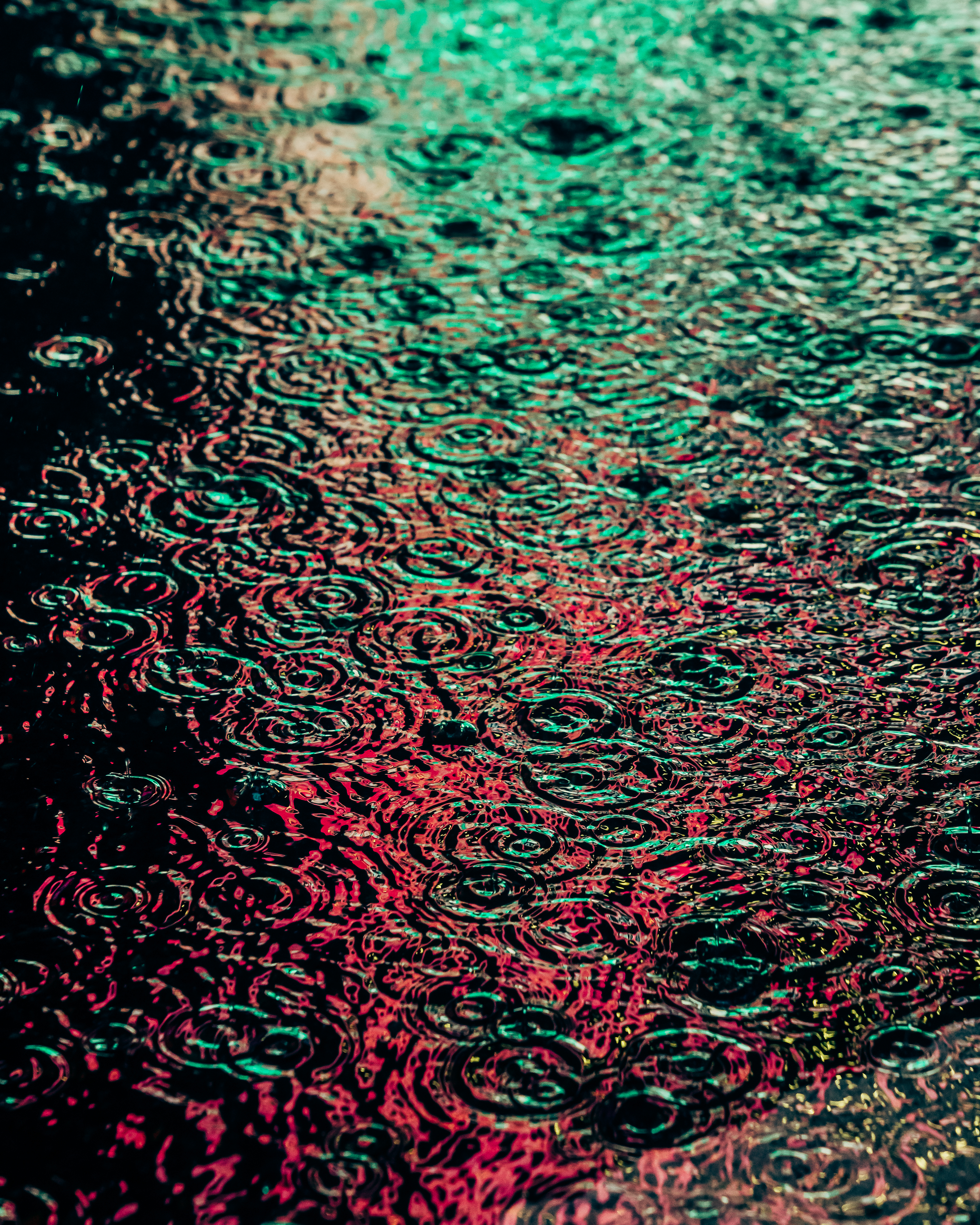DRIP #27