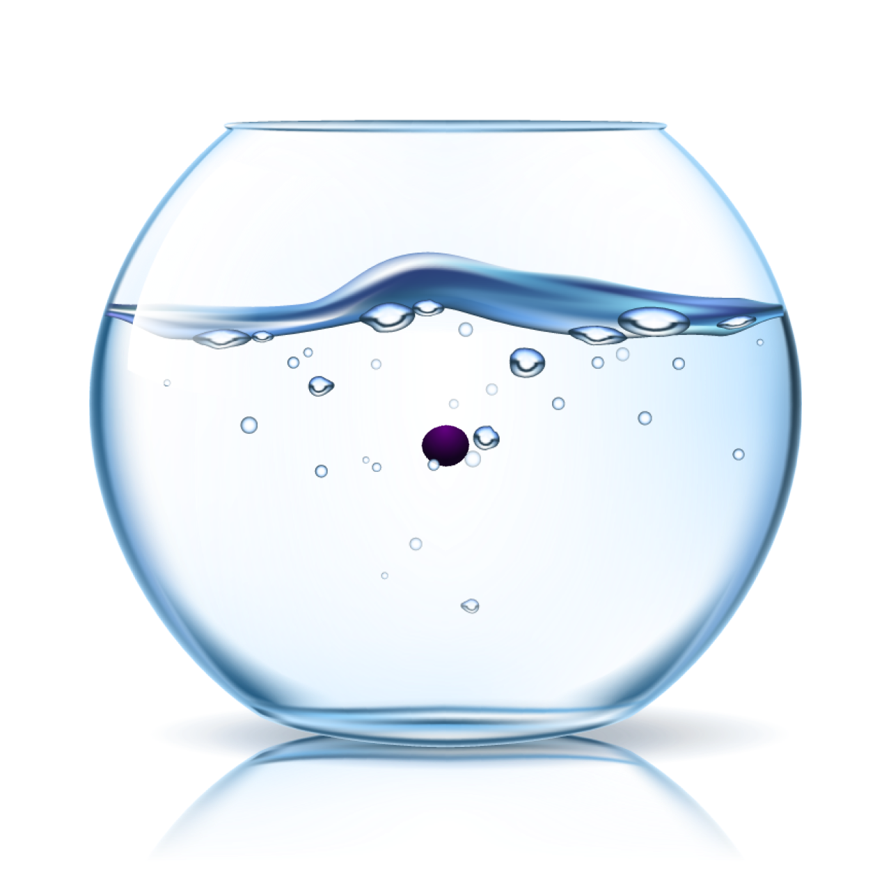 marimo #2241