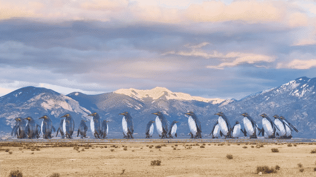 VLZ (Timelapse) #7/7