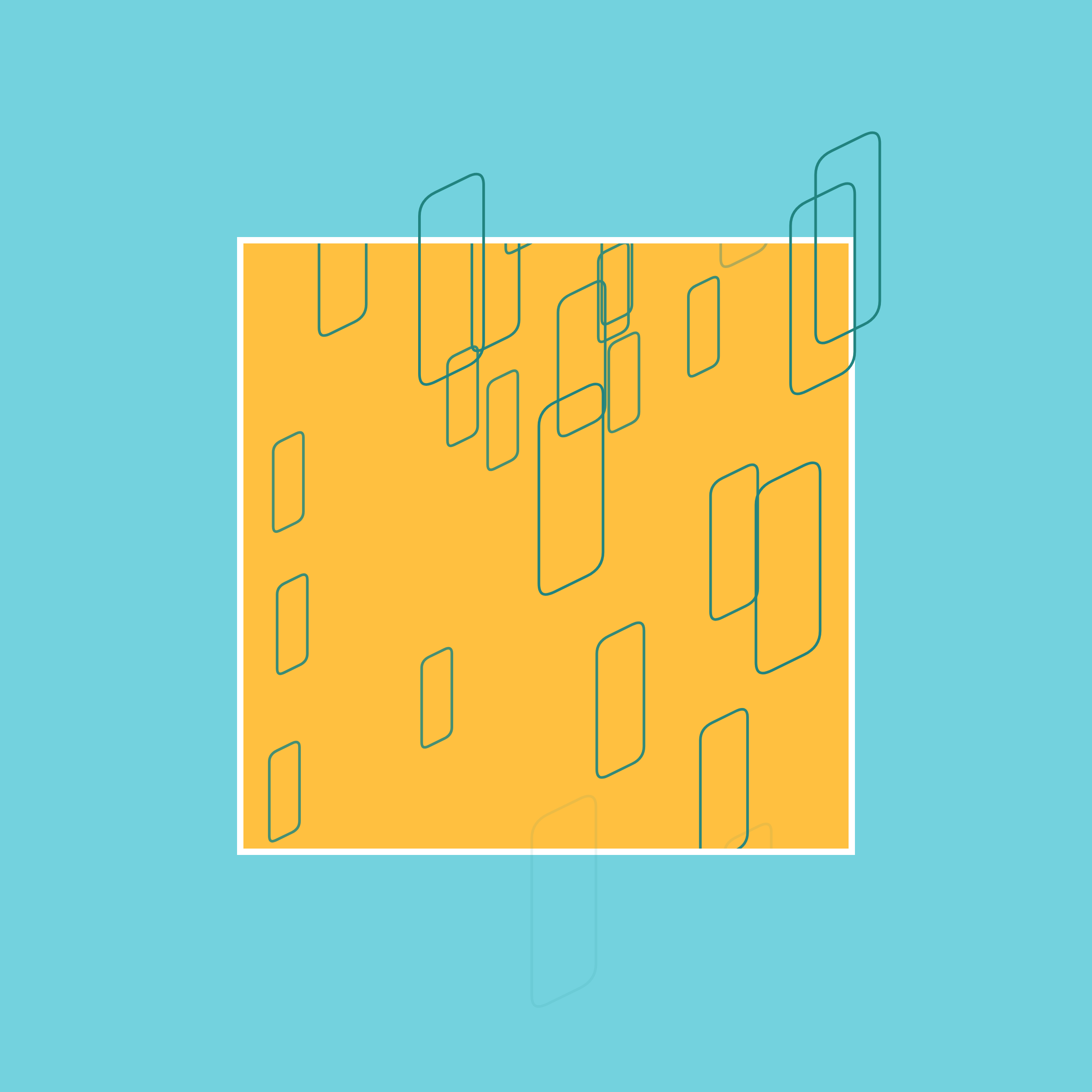 Libertad Parametrizada #134