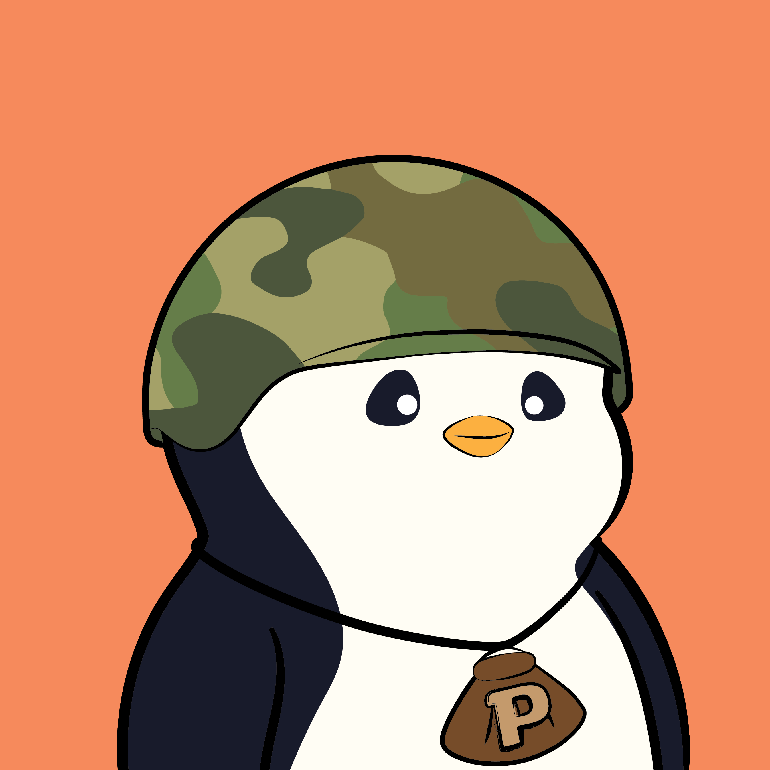 Pudgy #5747