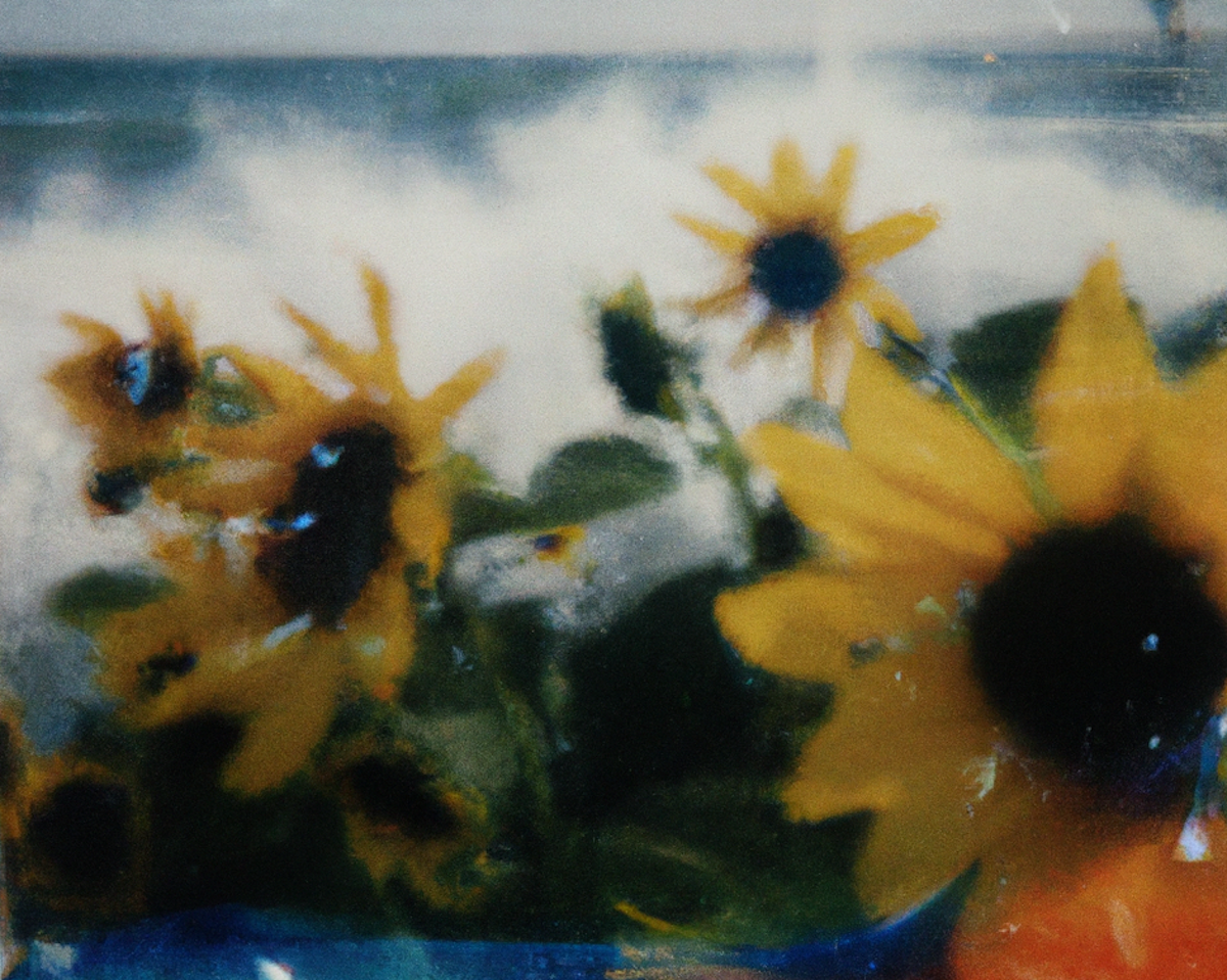 Tsunflower Chaos #50