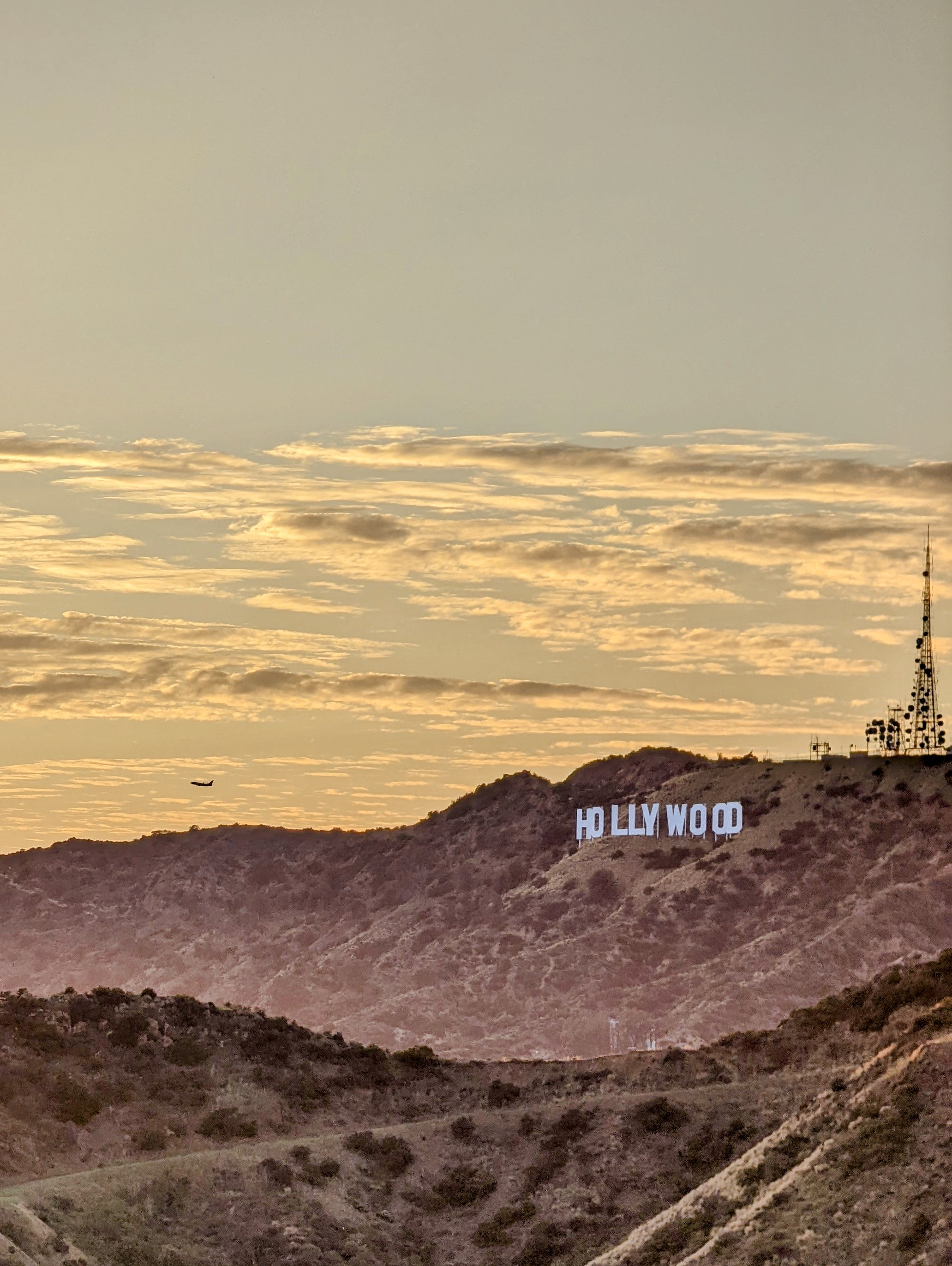 CS Community Collection #498