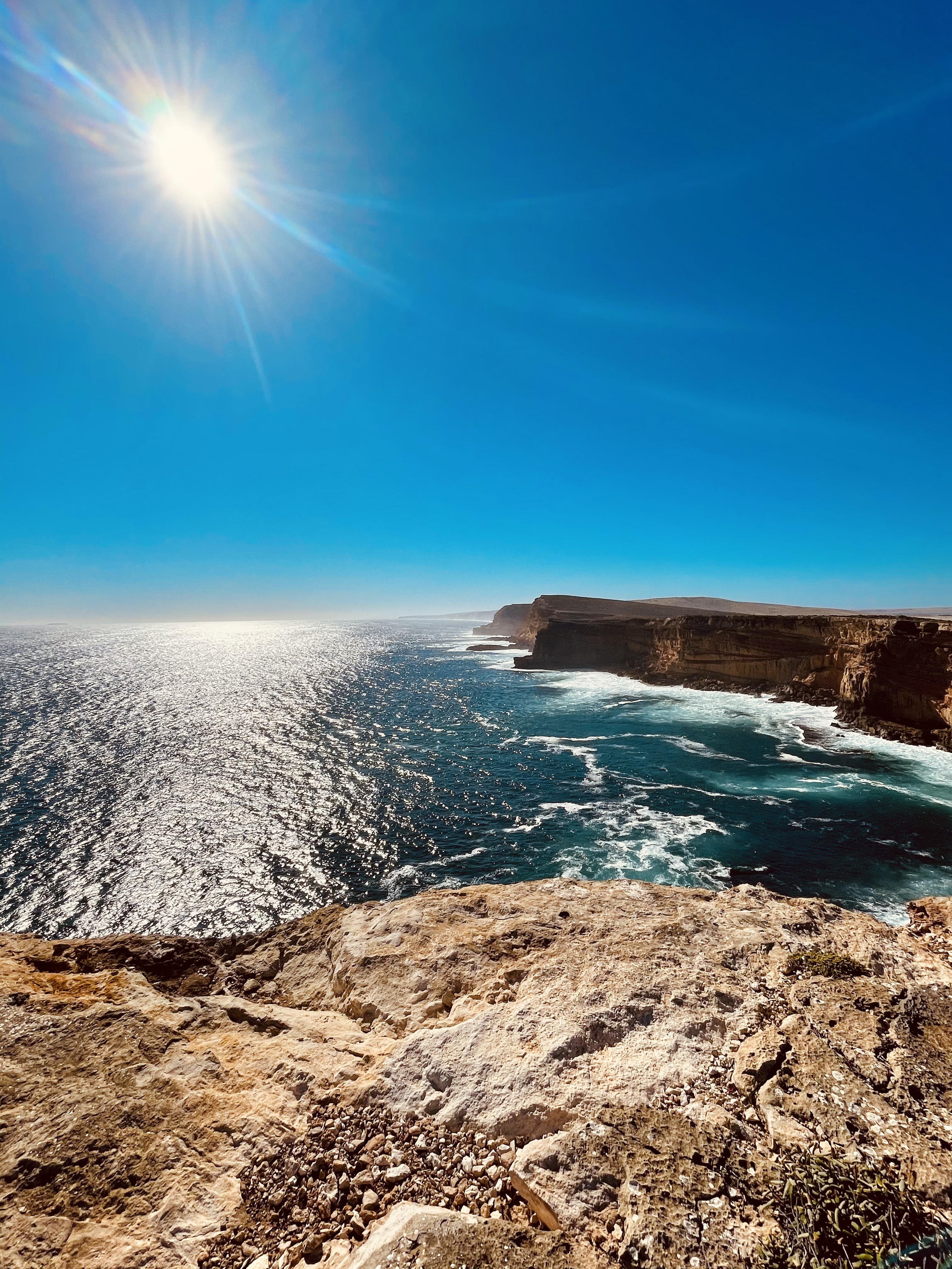 CS Community Collection #451