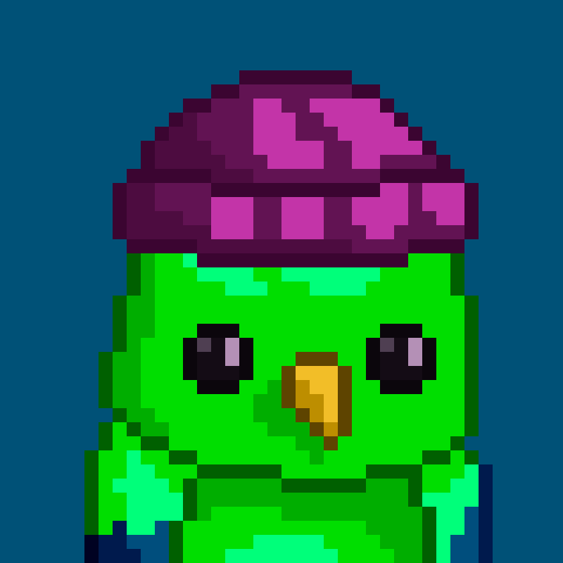 parrot #1264
