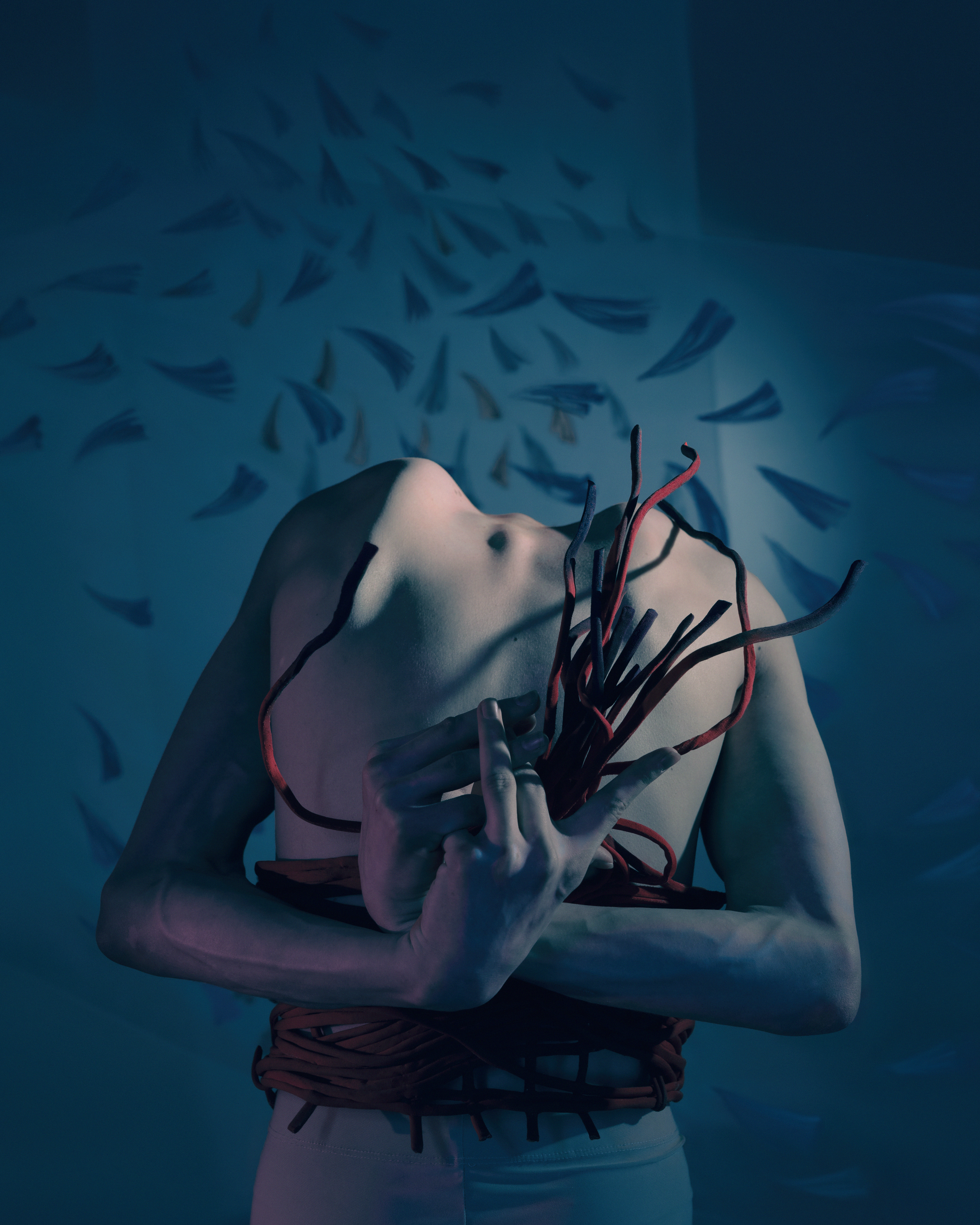 Once upon a time when I was a bird