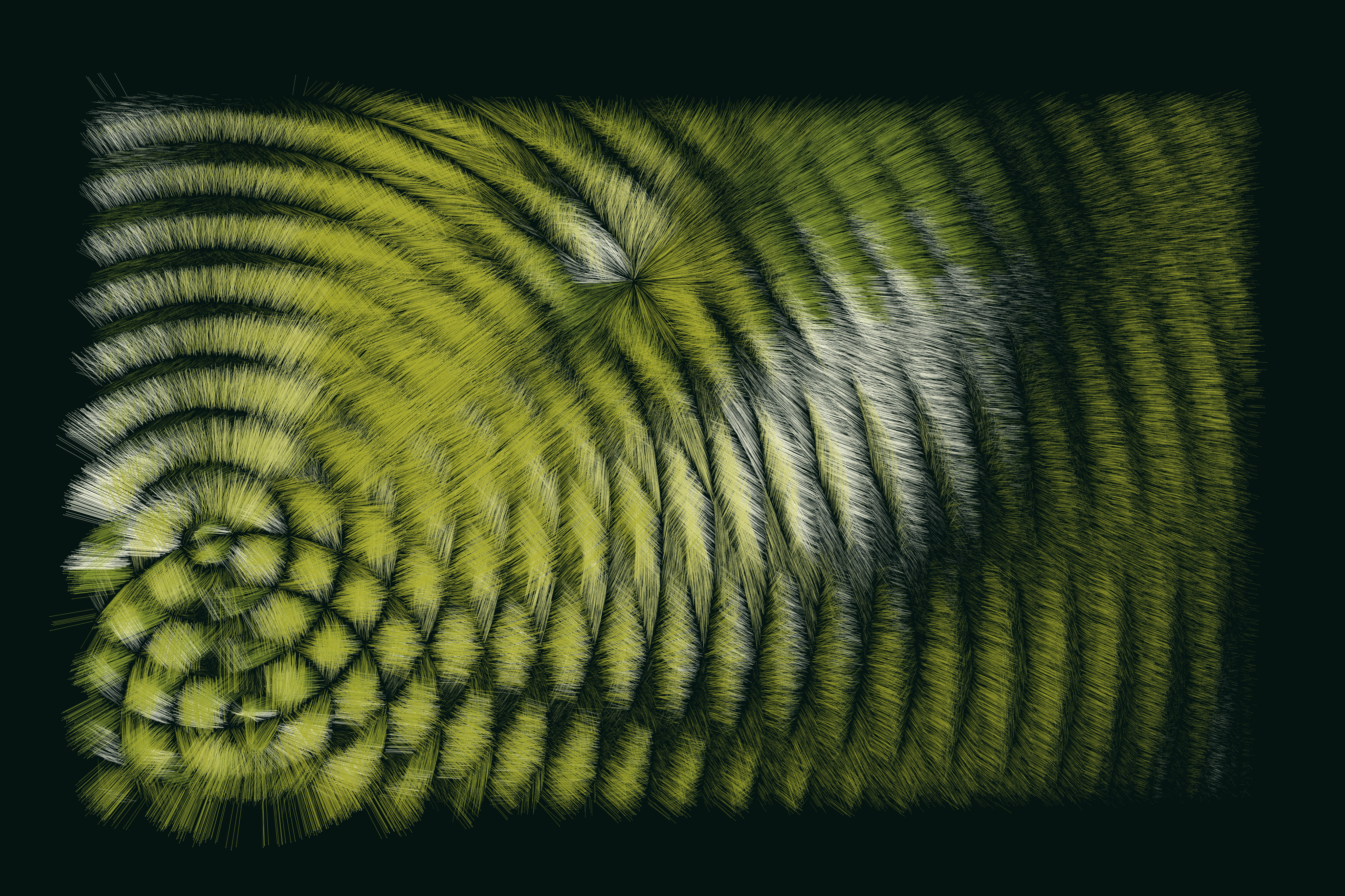 Folradura #306