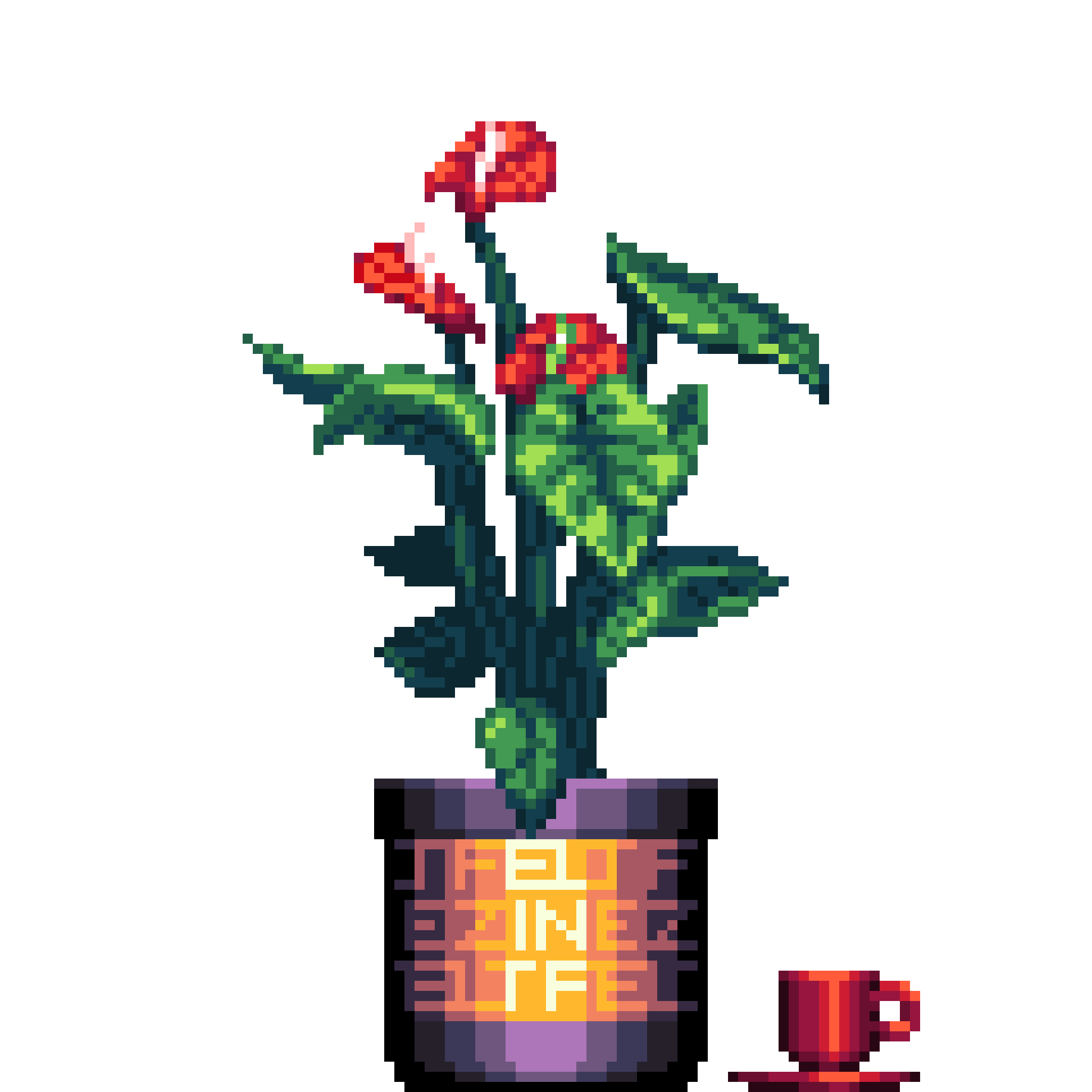 Red Anthurium in Large Felt Zine Two Tone pot with Demitasse