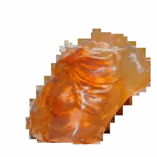 Unbridled Christie #6