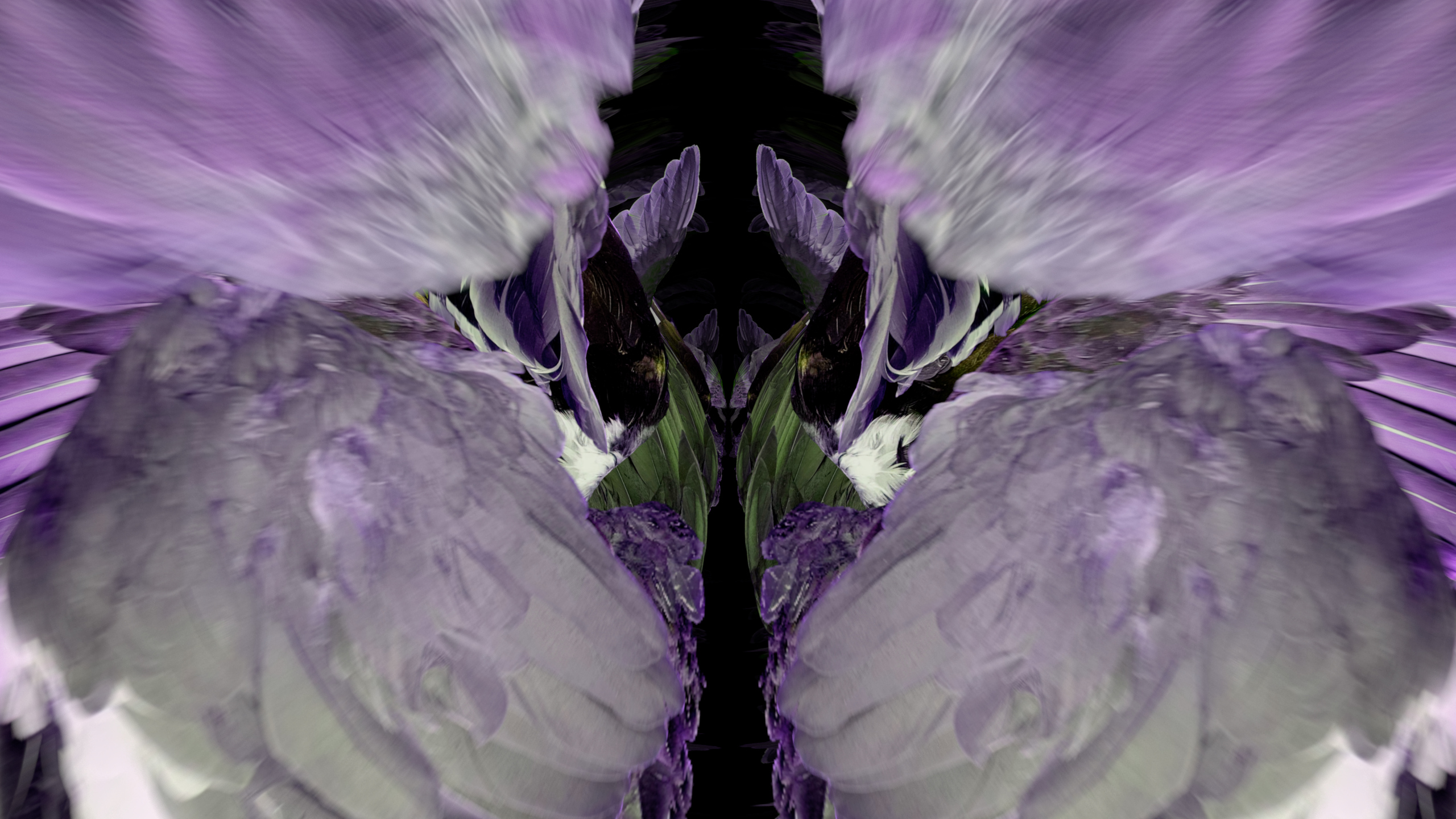 Fuga delle Sirene LXXXIX