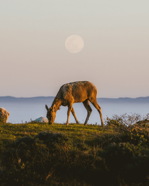 Just for the Moment: 014