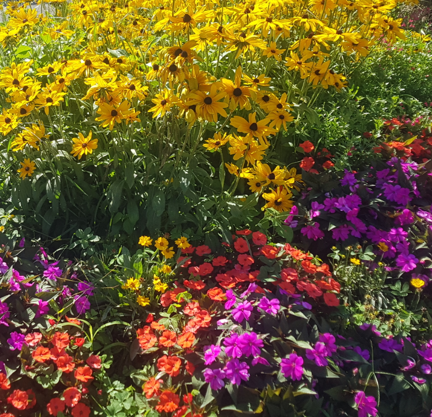 Flowers