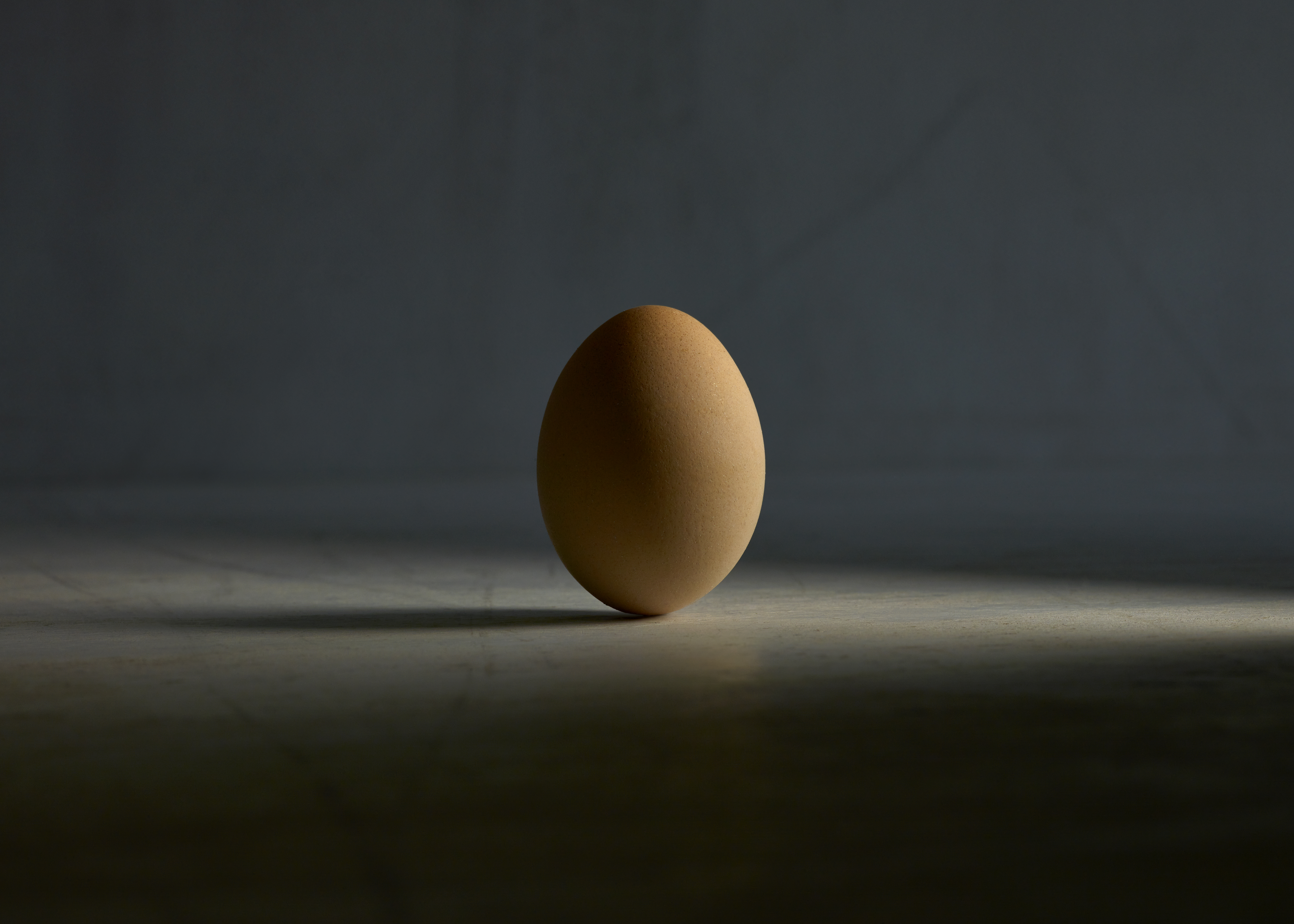 The Egg 39