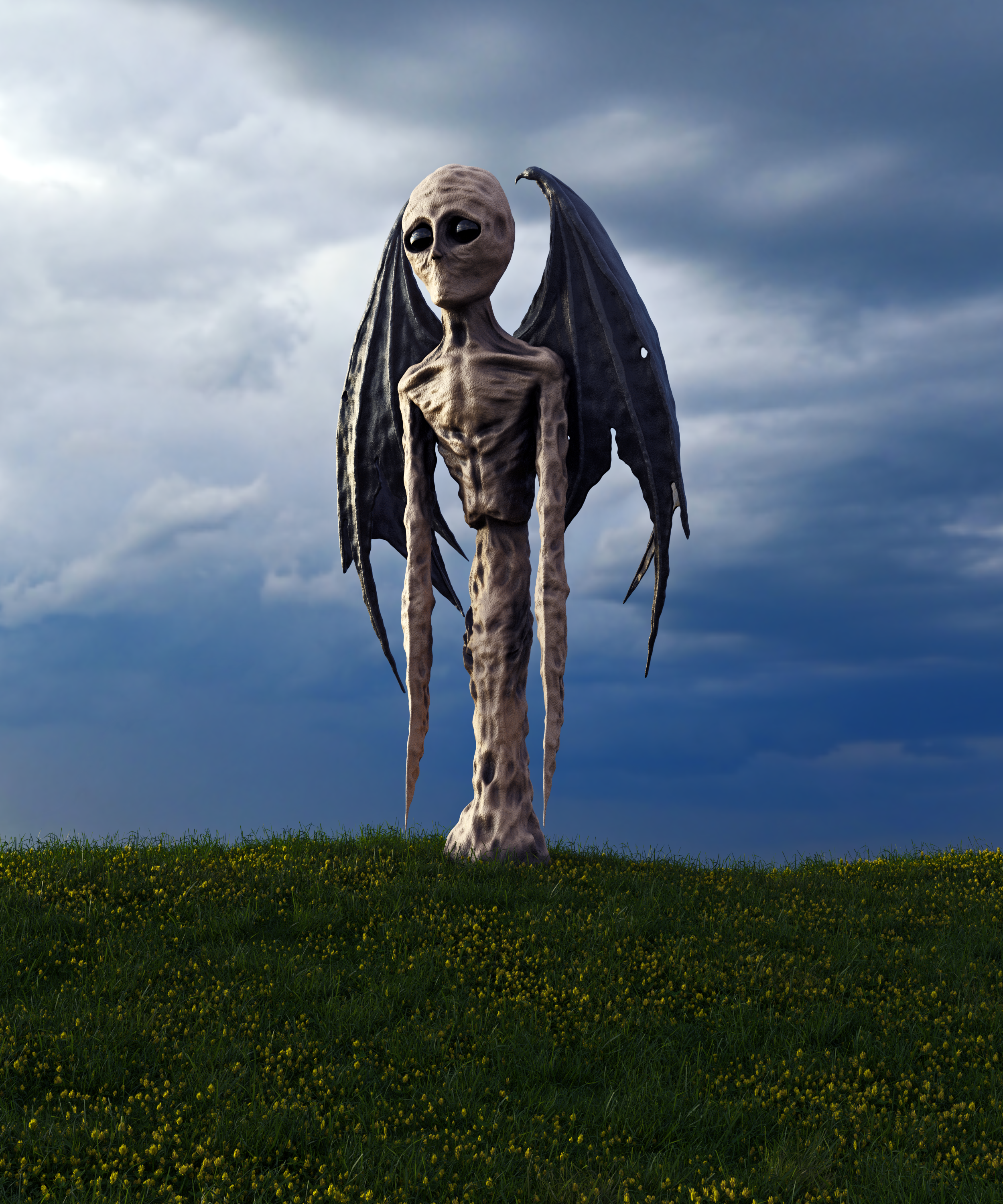 Searching For A Purpose