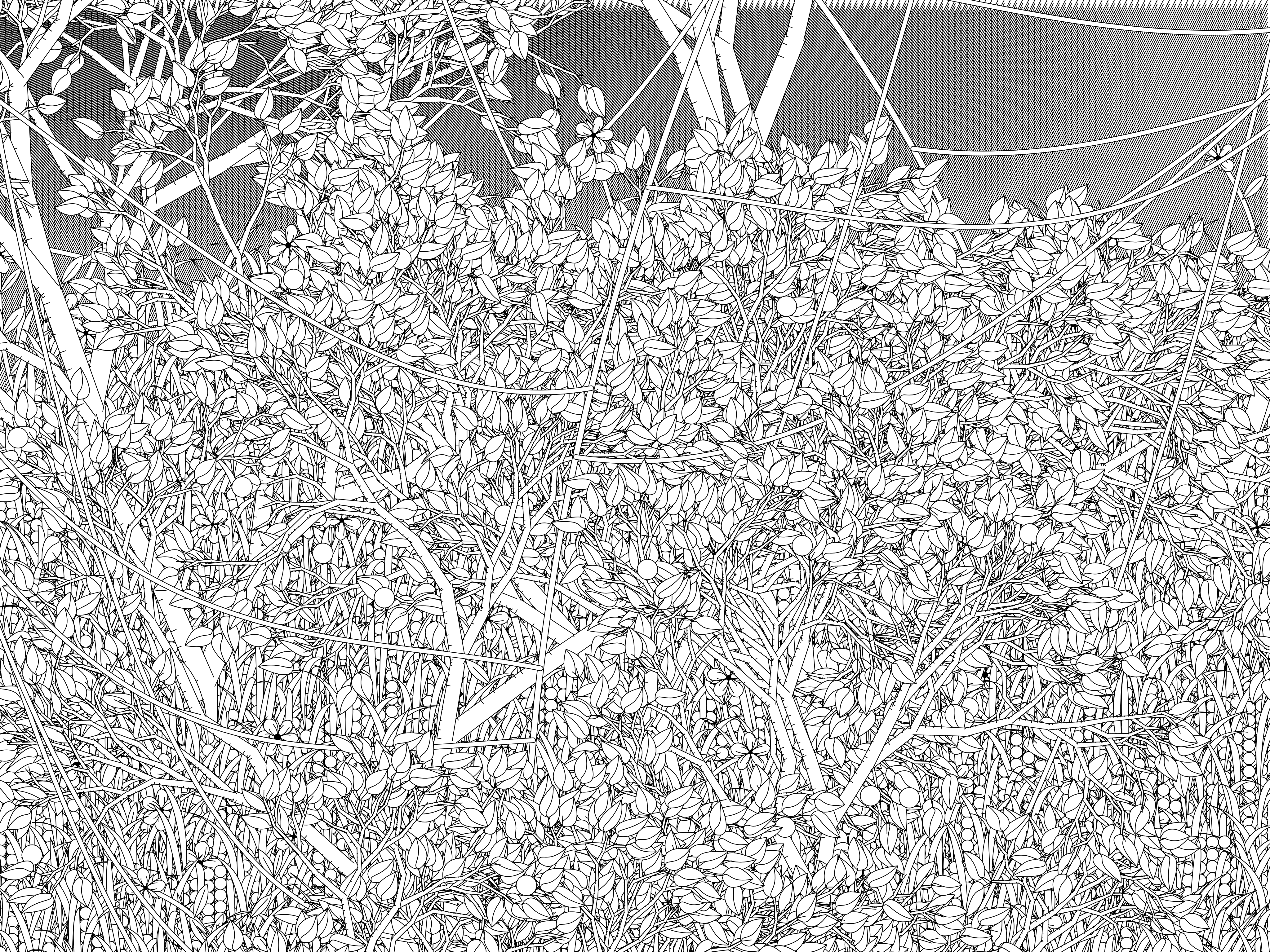 Entangled #195
