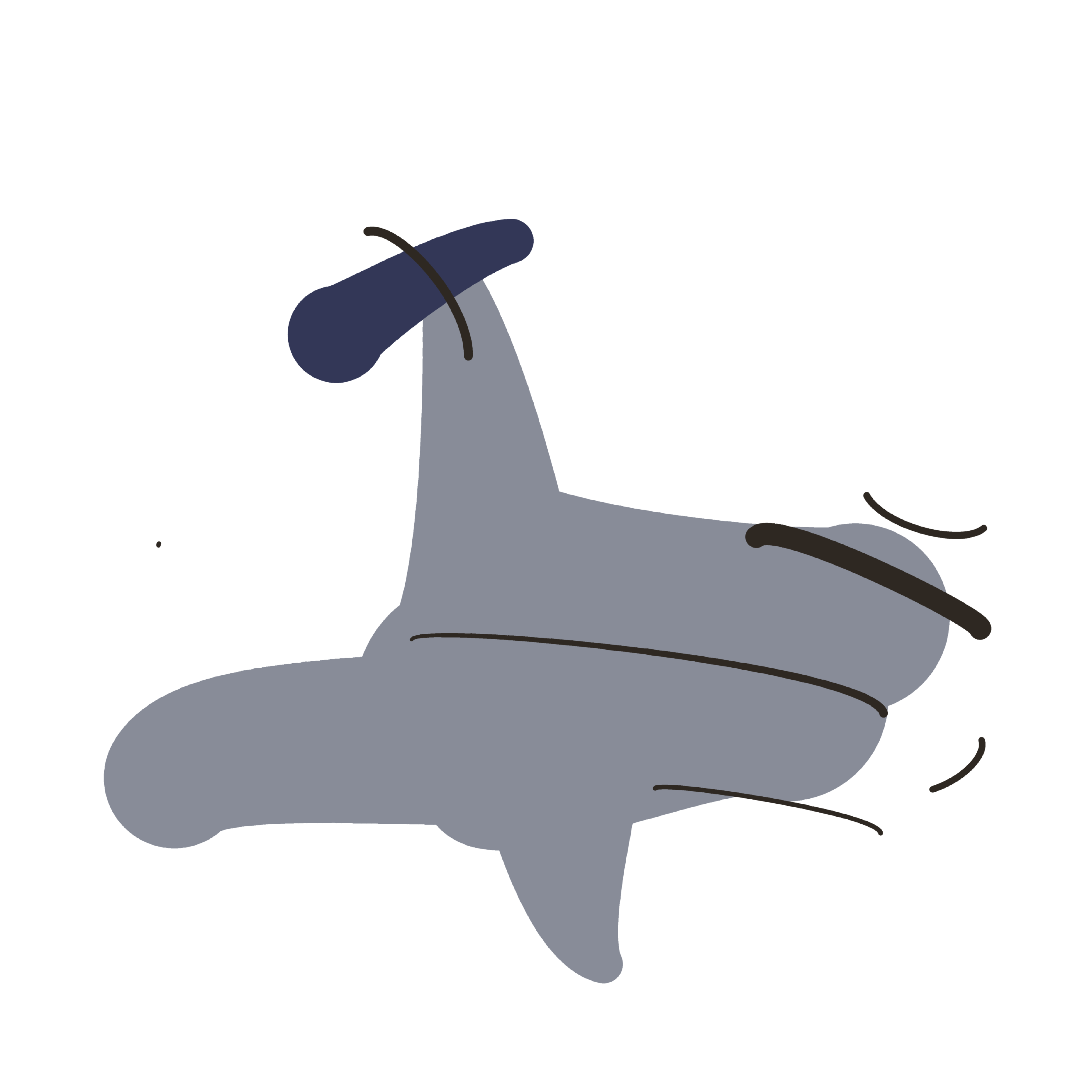 Hammerhead Shark