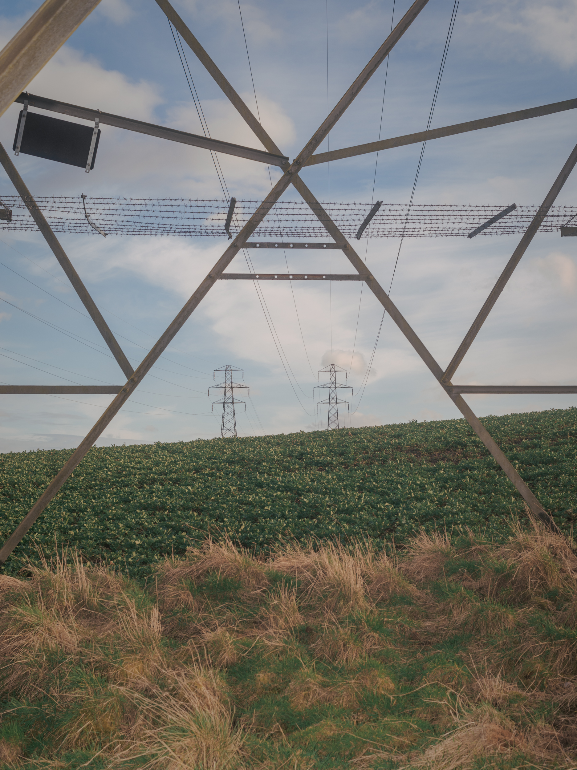 Hyperreal #7