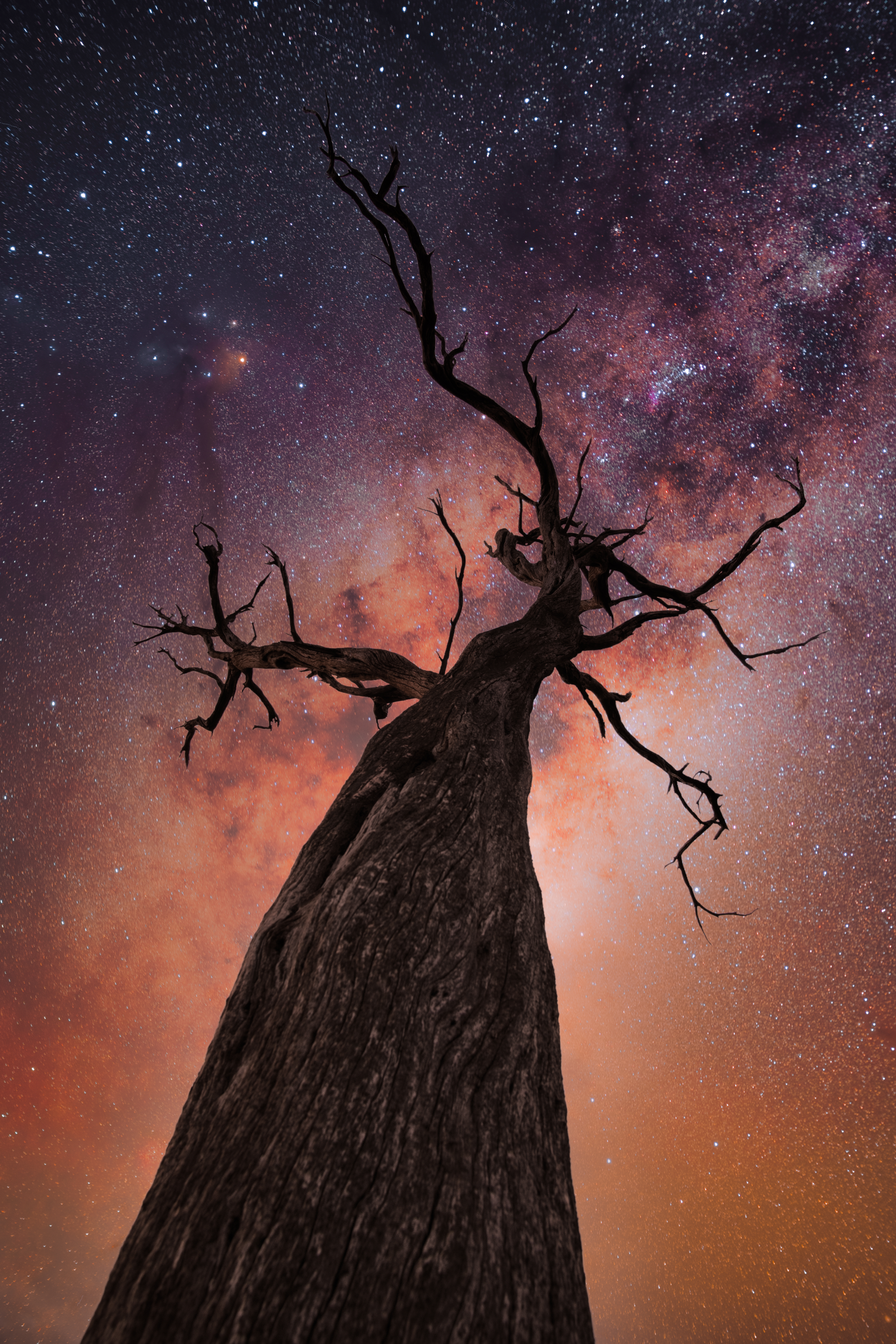 Reach for the stars