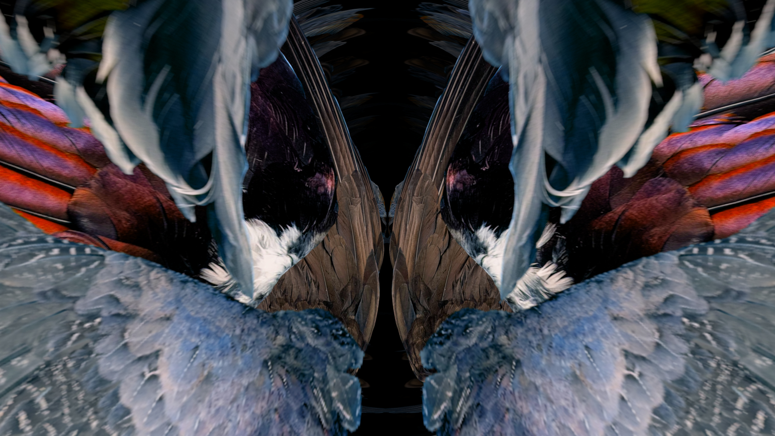 Fuga delle Sirene XXXII