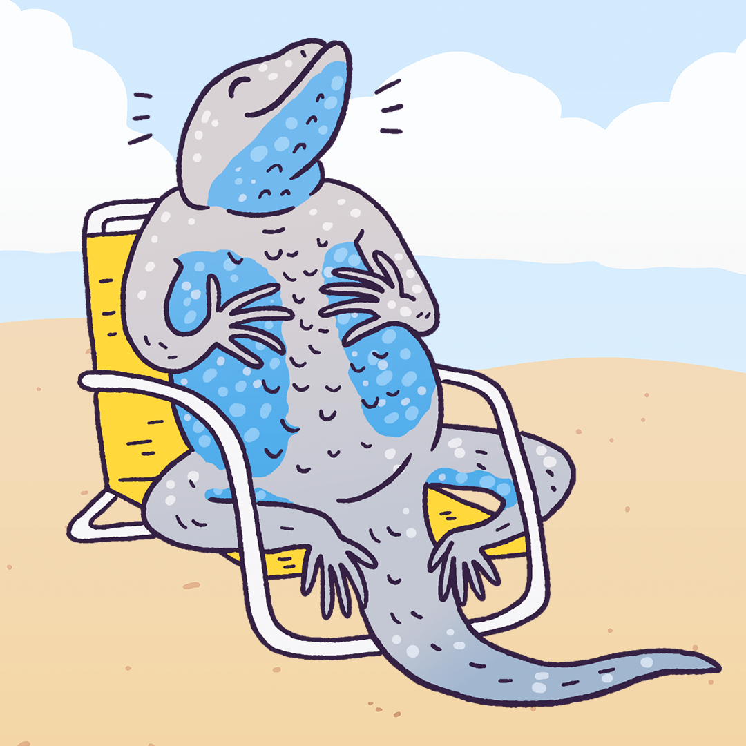 Blue Belly Lizard #1496