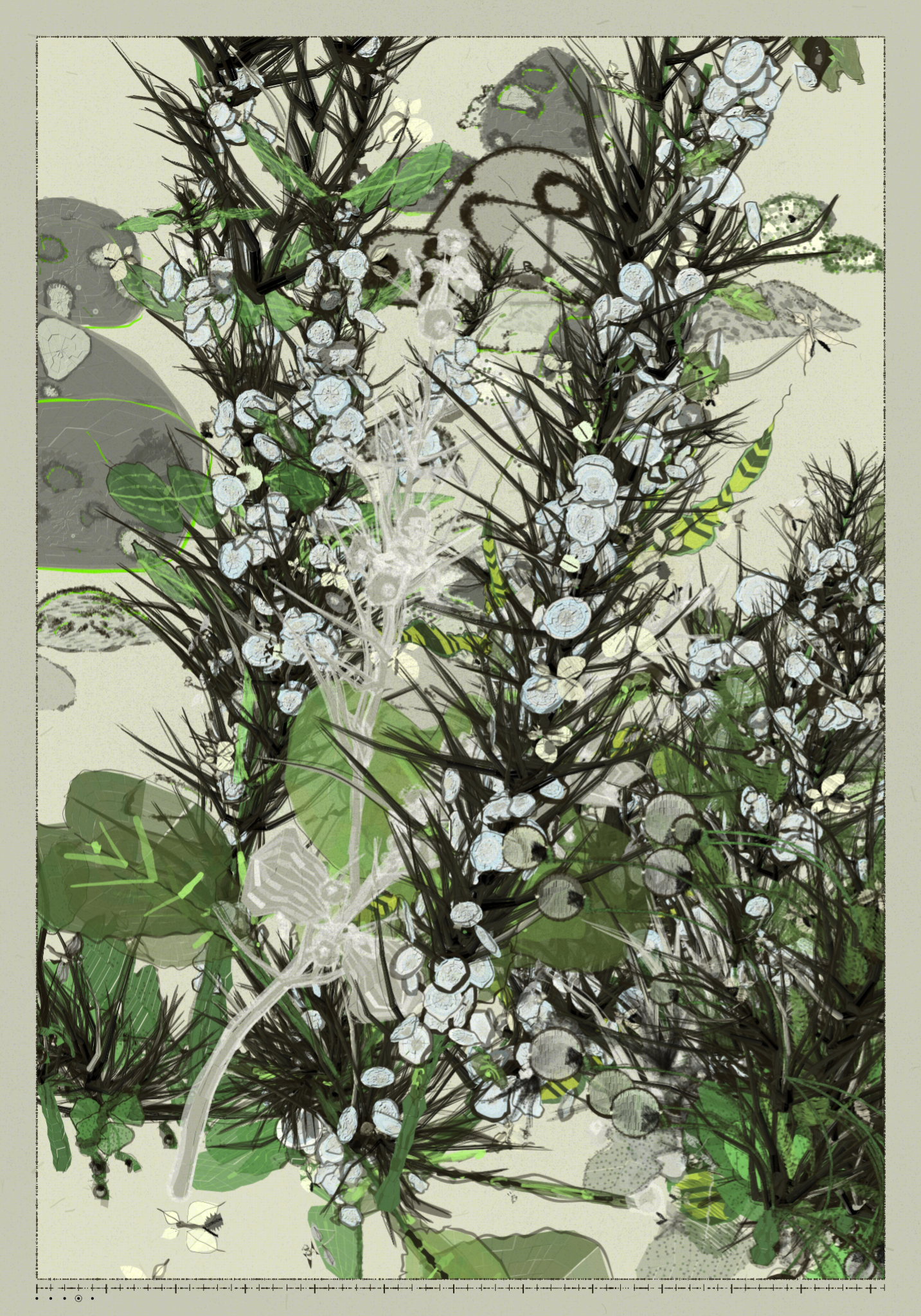 Polypaths | 植徑集 #530