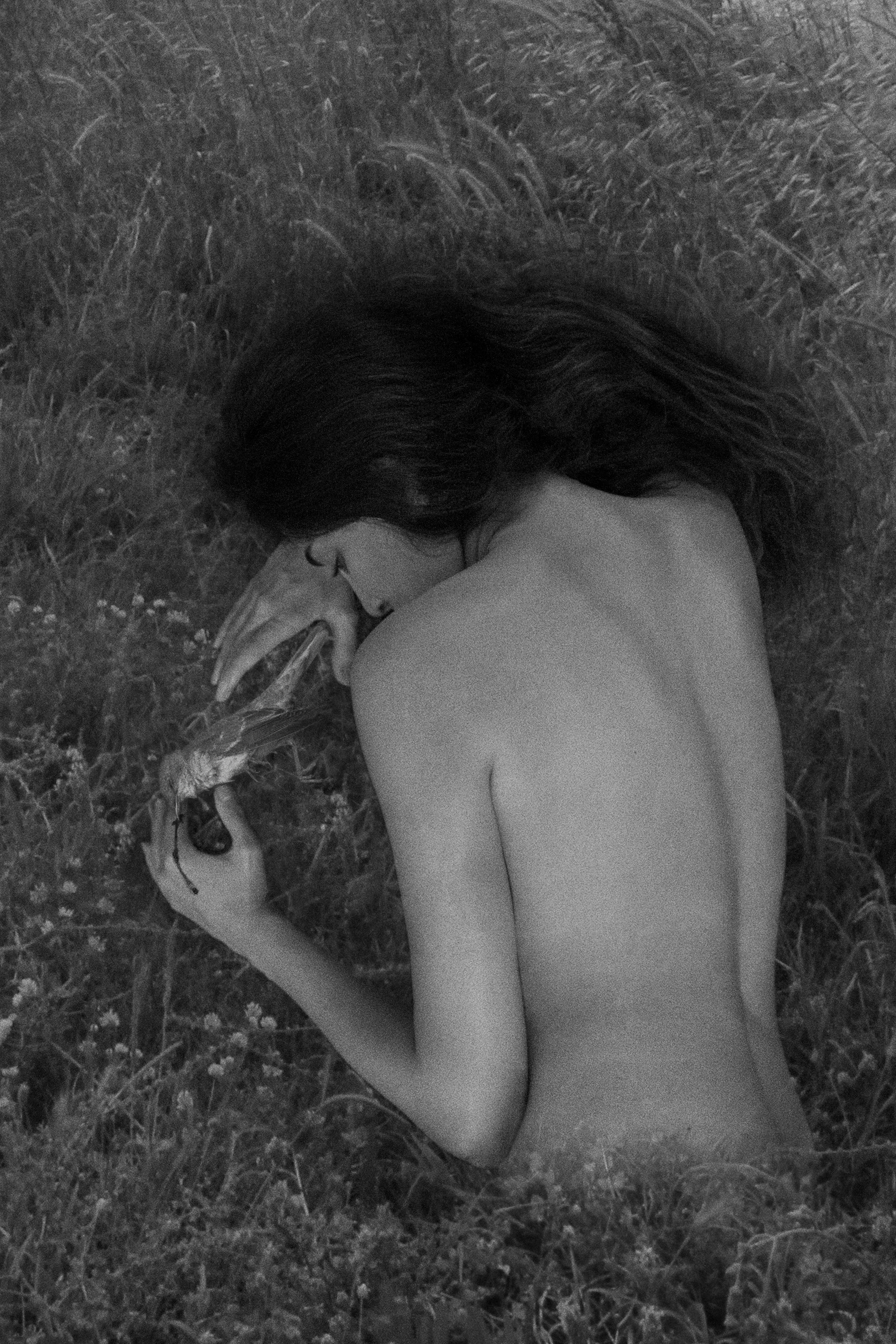 Embrace of Wounded Melodies