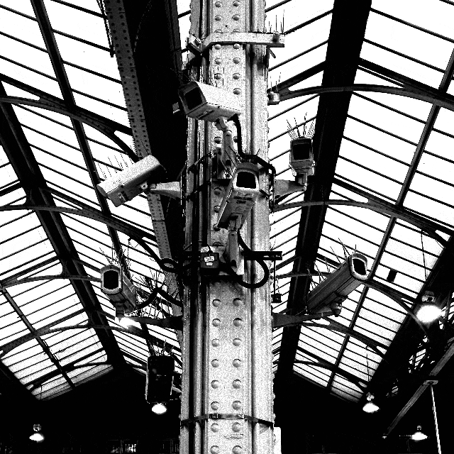 What you lookin' at, Punks? #5/8