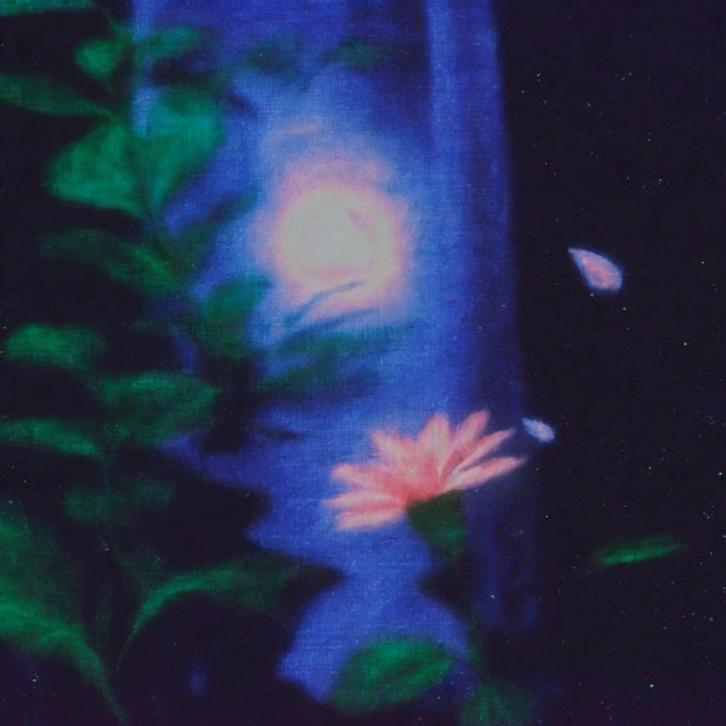lost petal