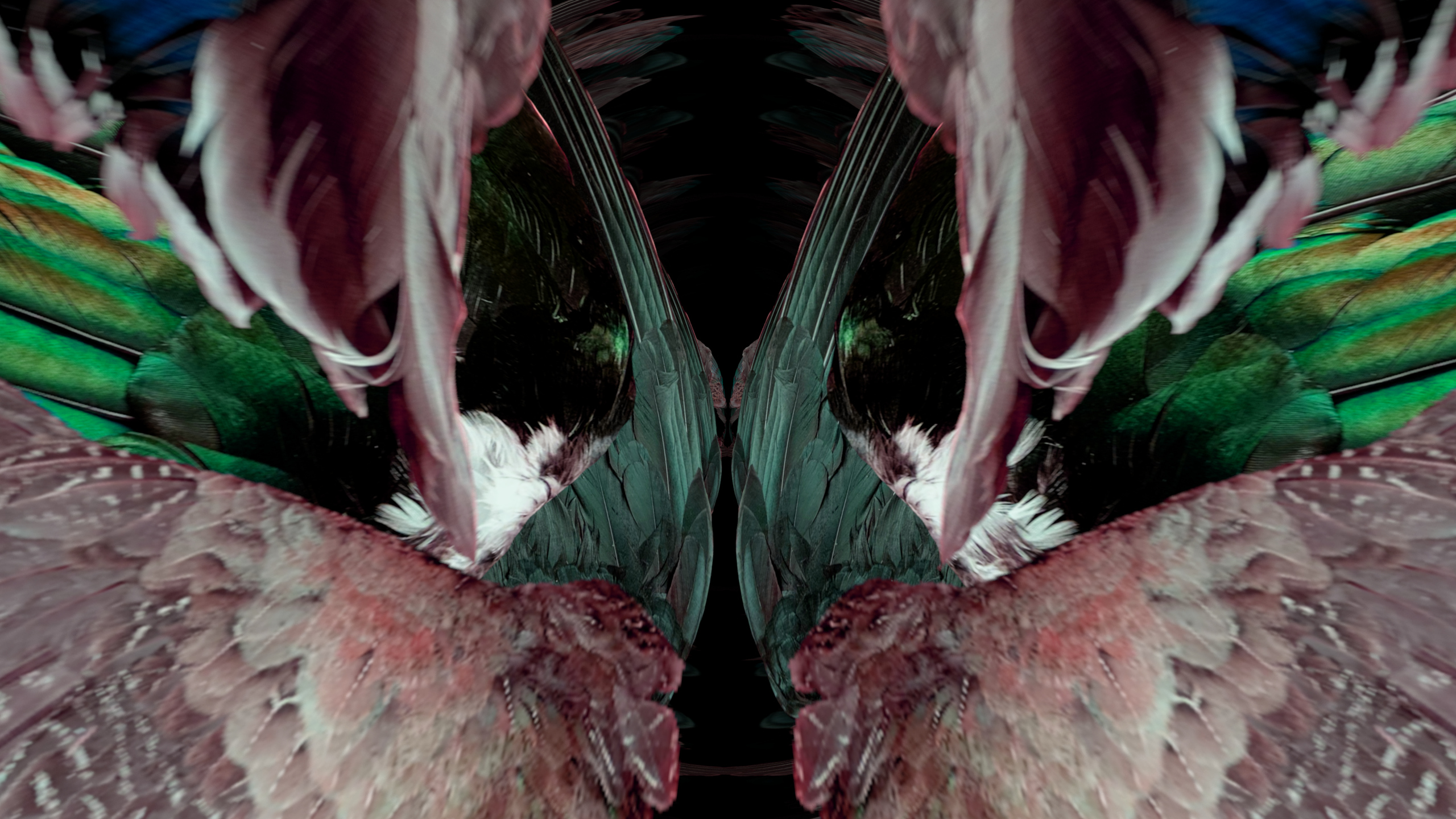 Fuga delle Sirene LII