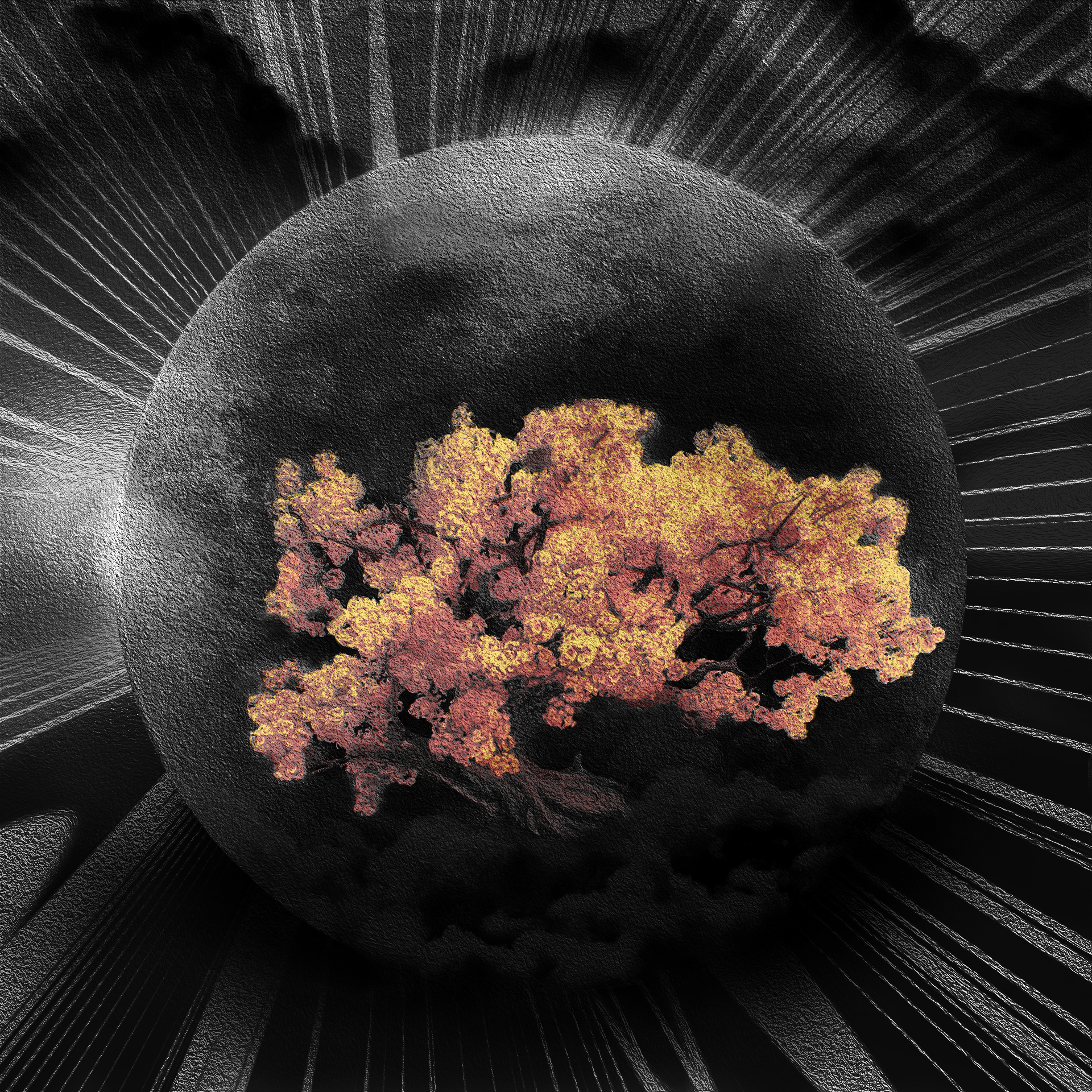 Seed of liFe