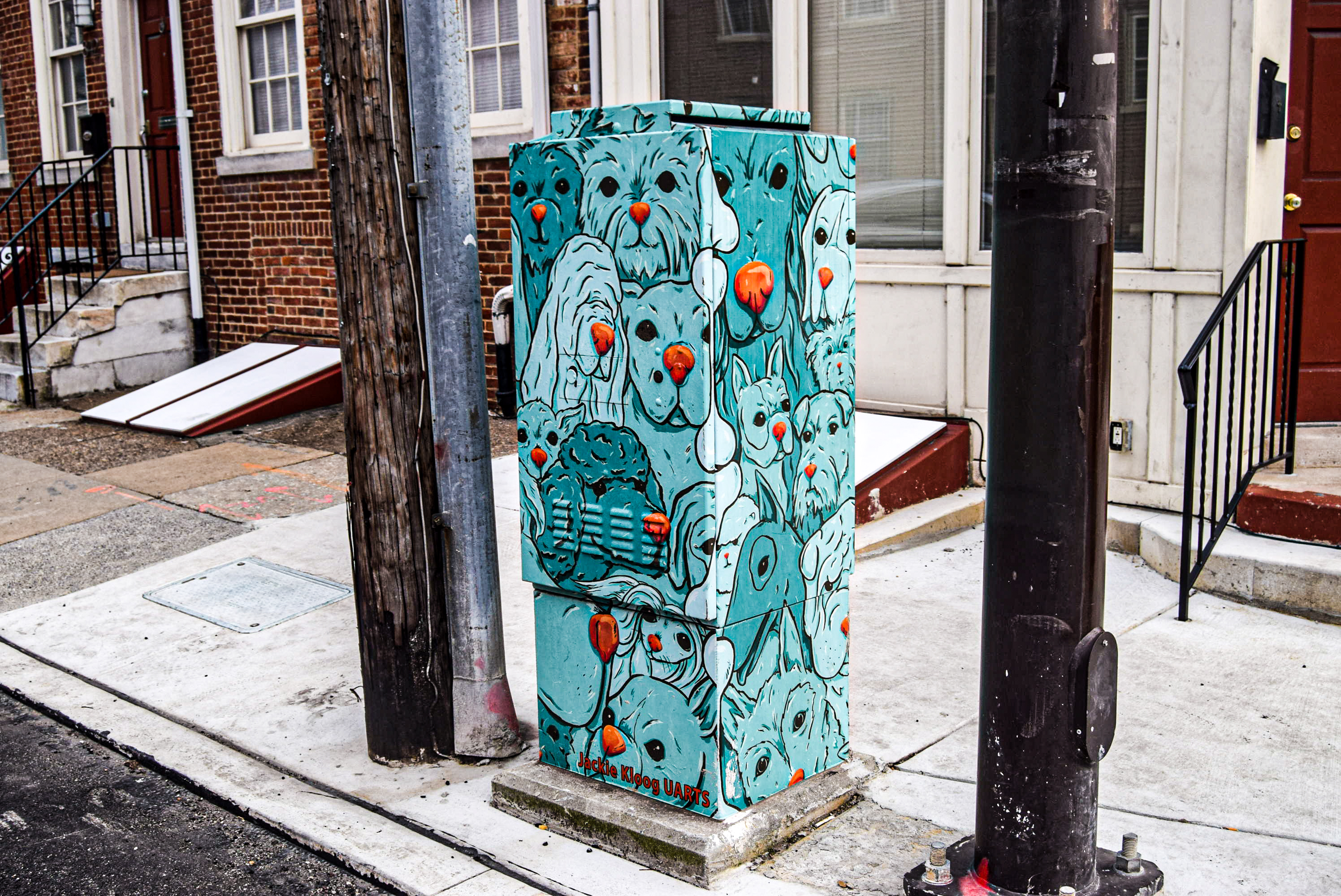 Pups brighten the block