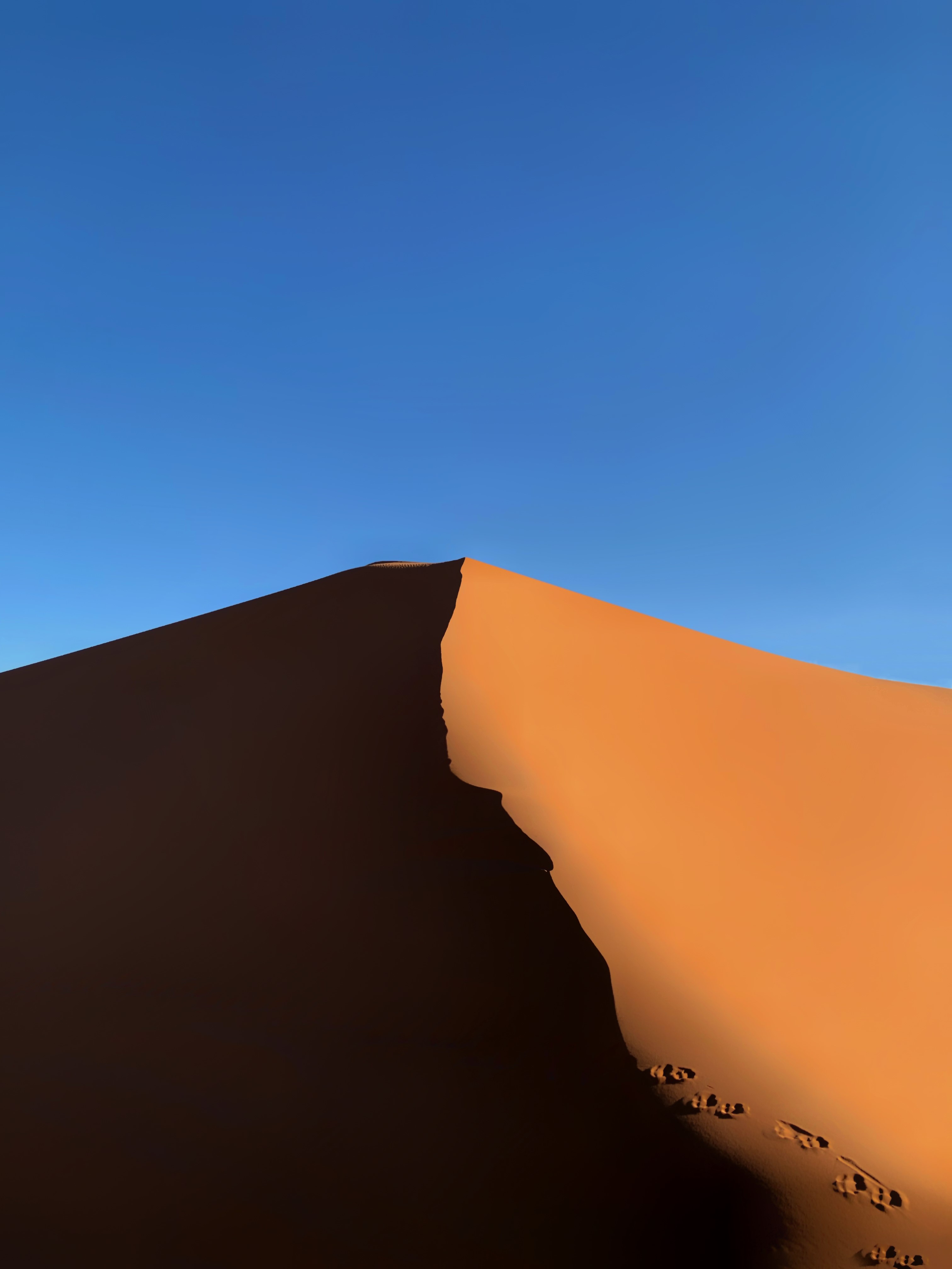 CS Community Collection #346