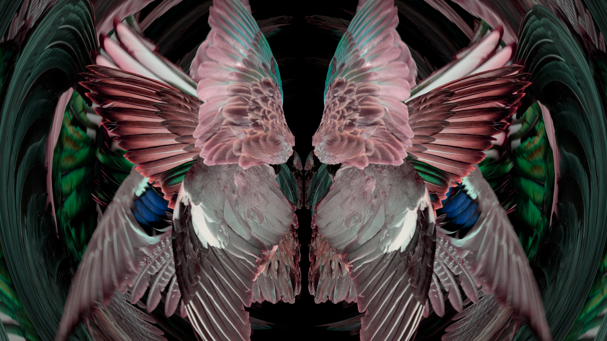 Fuga delle Sirene XLVI