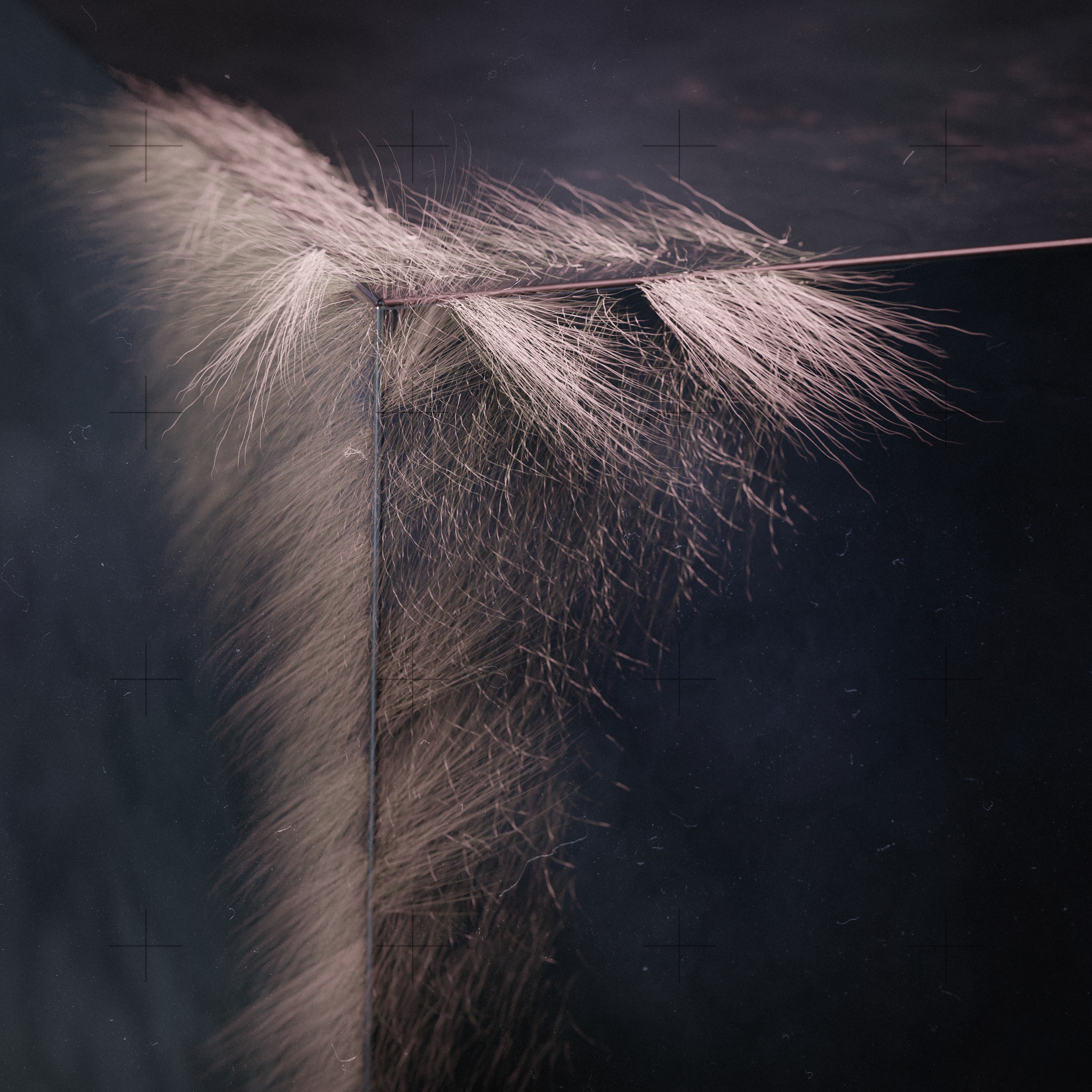 First Contact — 02