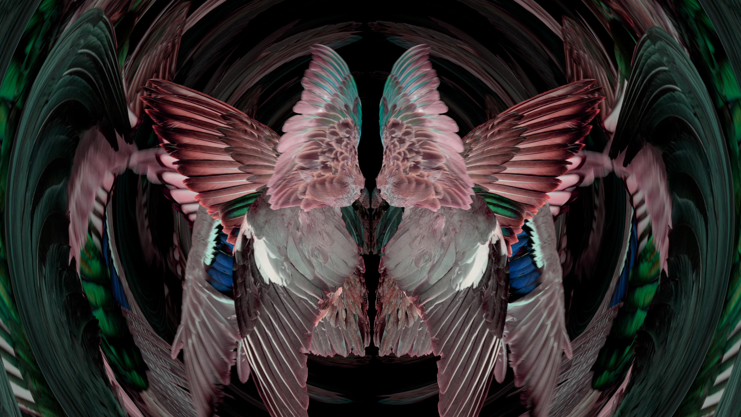 Fuga delle Sirene XLV