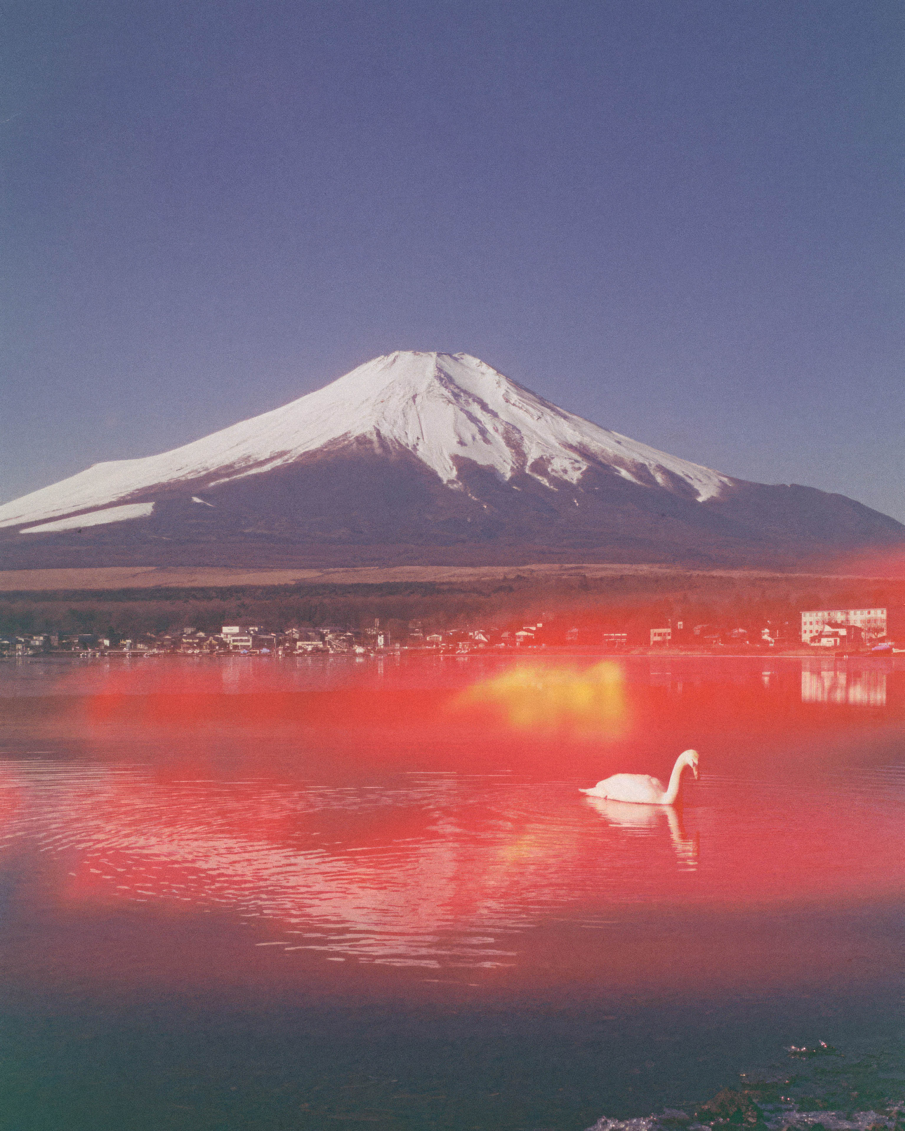 Mount Fuji’s Grace | 富士山の優美