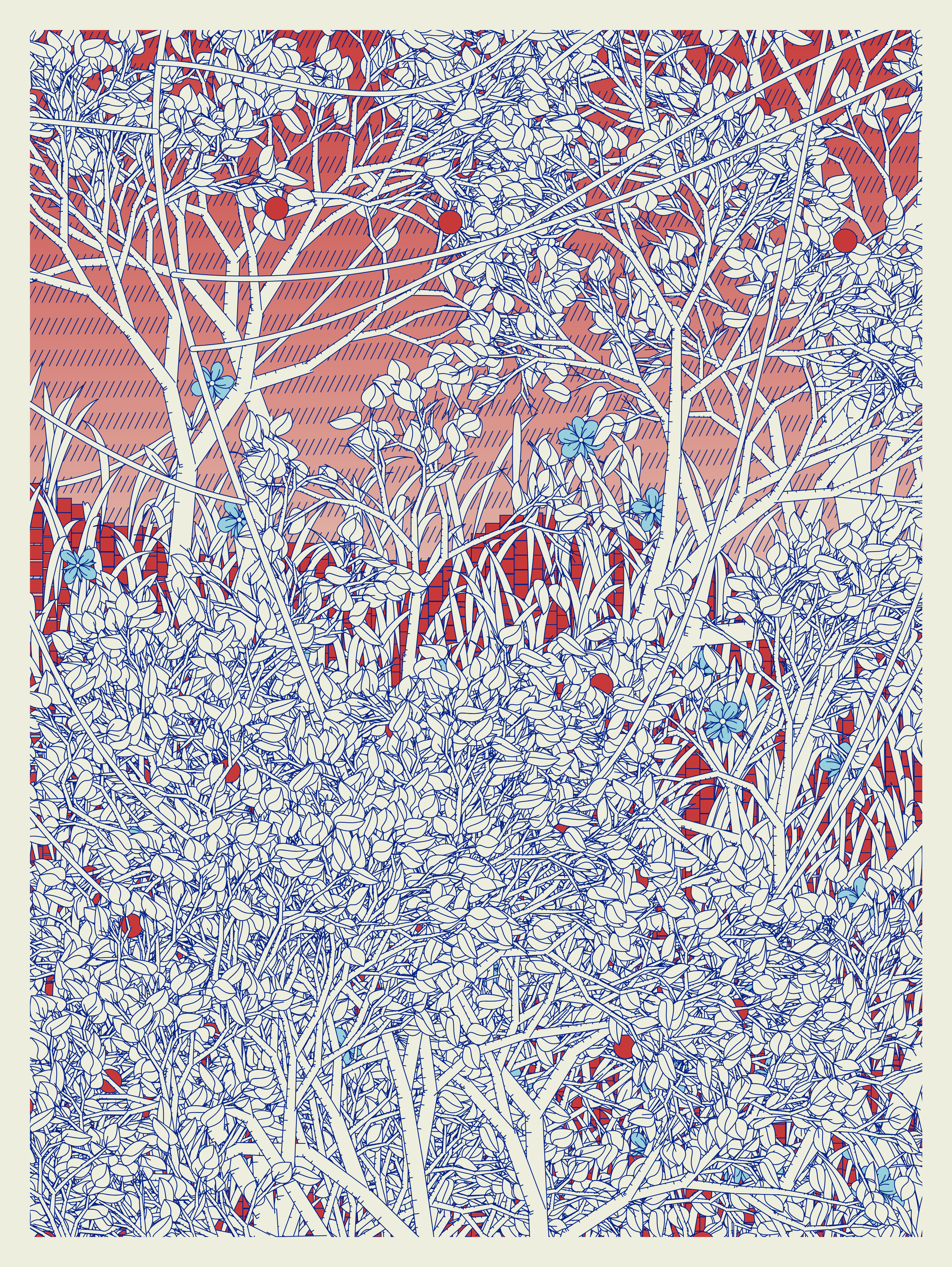 Entangled #189