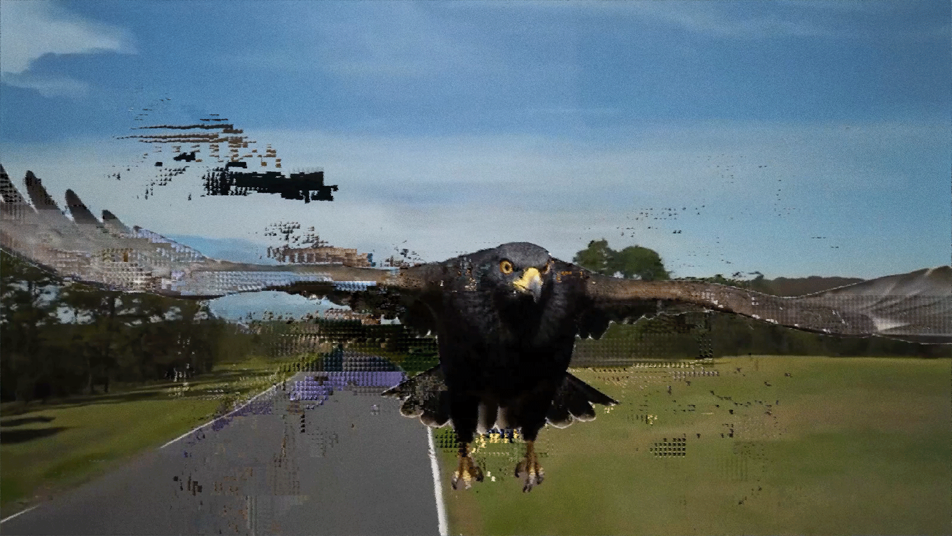 To experience freedom is an extremely hard task