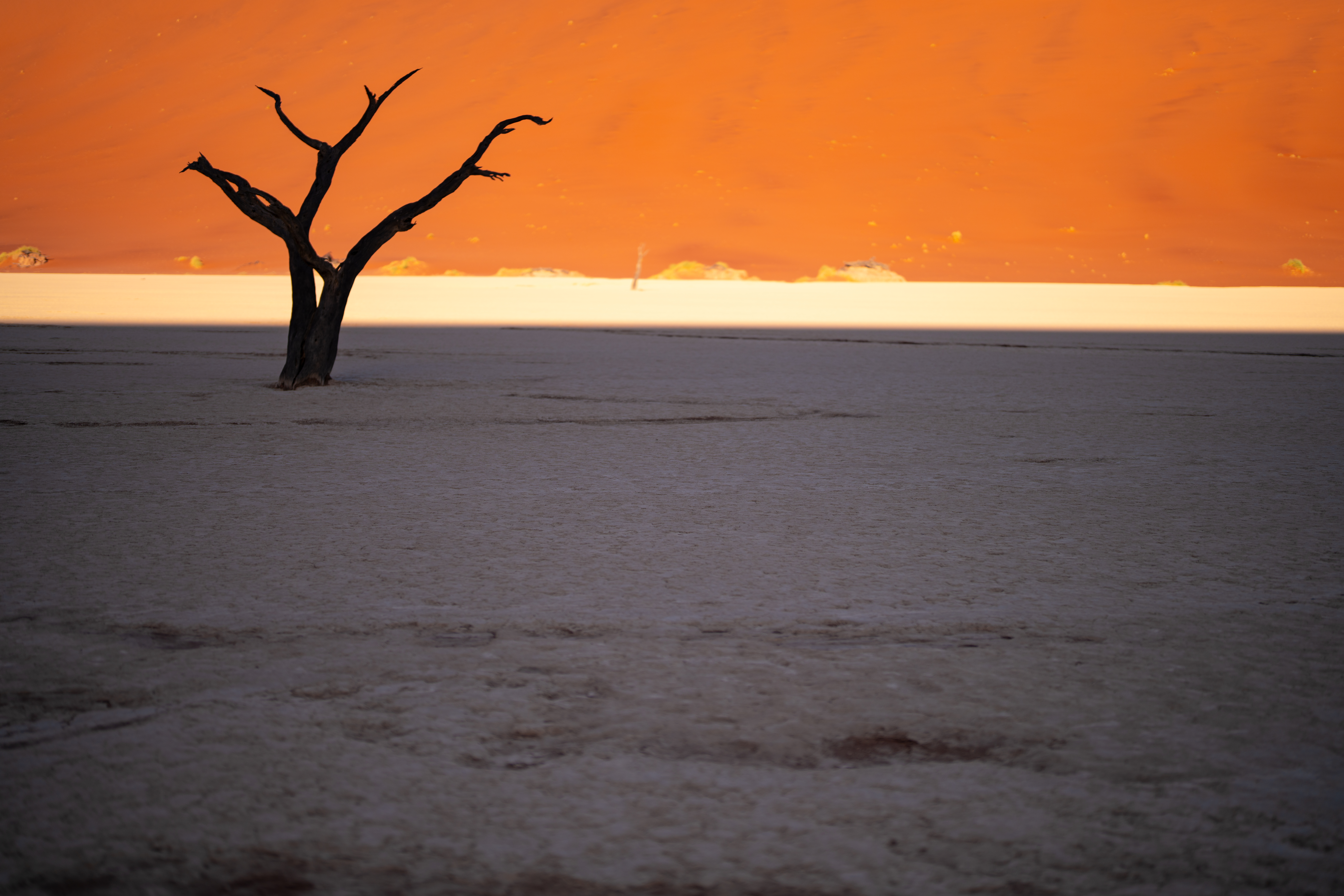art in a time of darkness