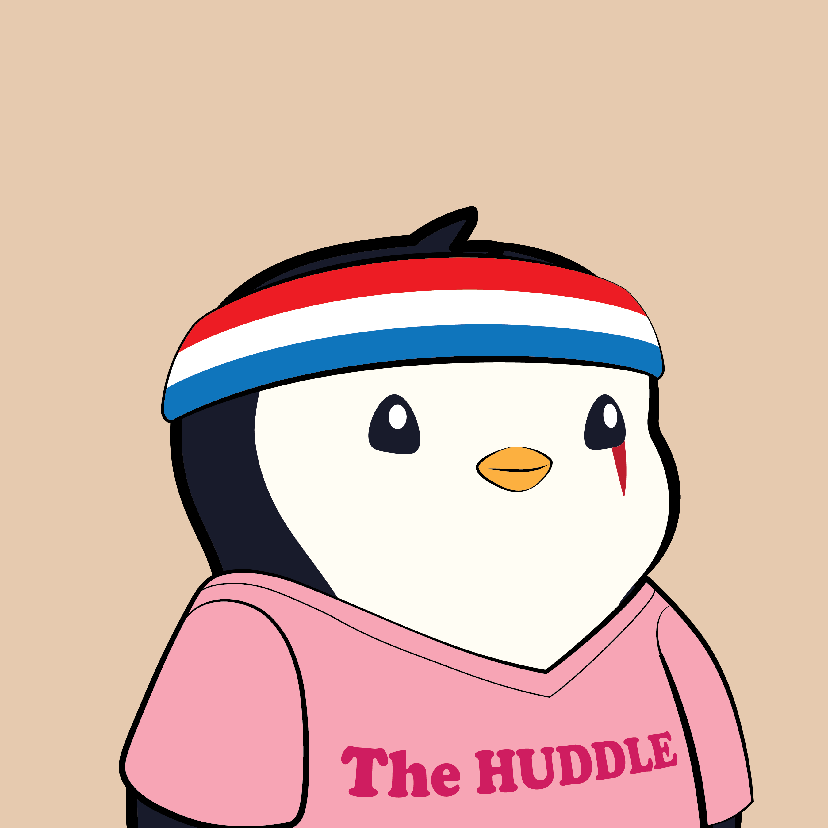 Pudgy #3705