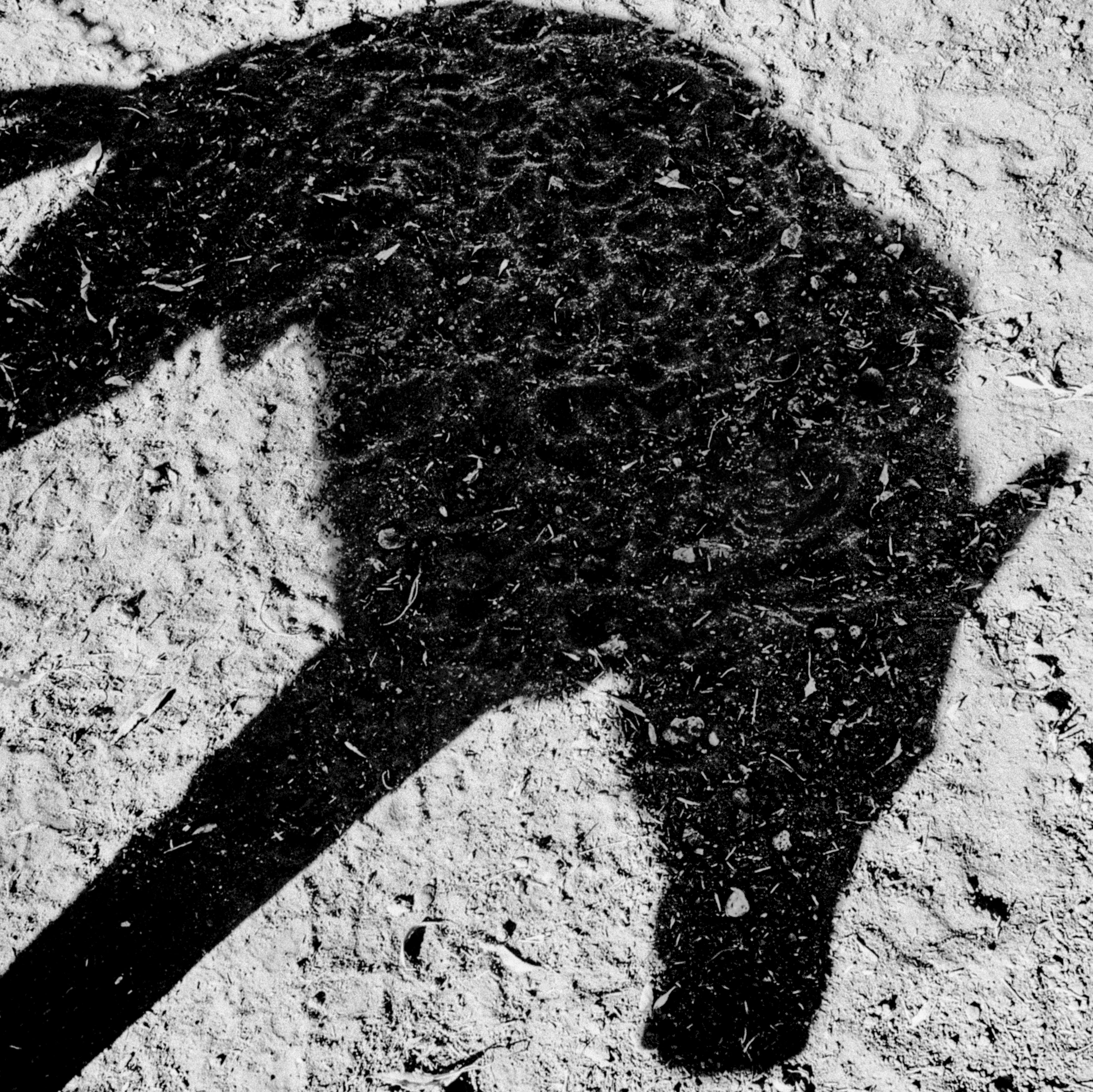 Magnum 75 #68 by Matt Black. California, USA. 2013