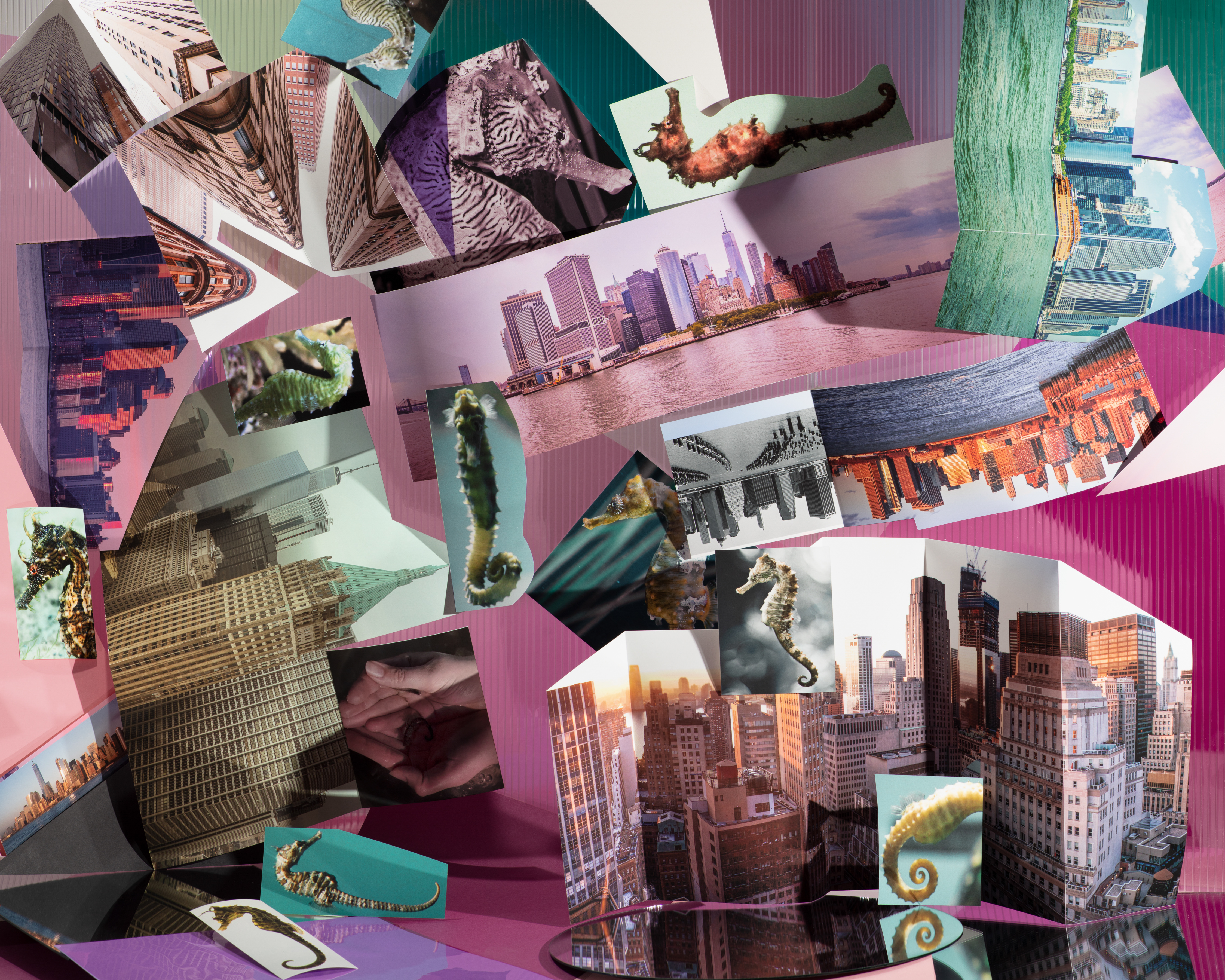 Landscape Sublime - Seahorses in Hudson River