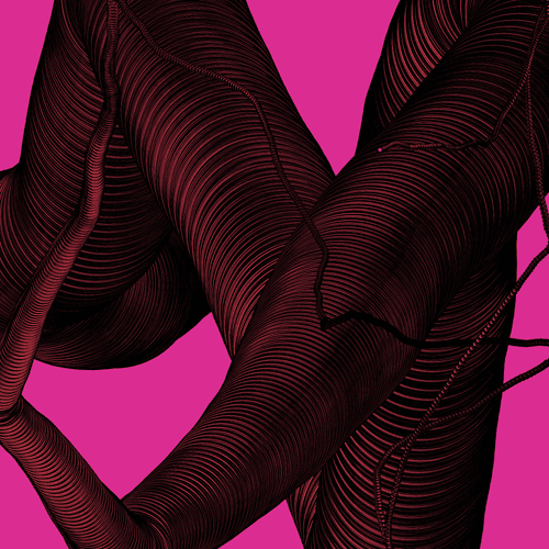 Wormhole #961